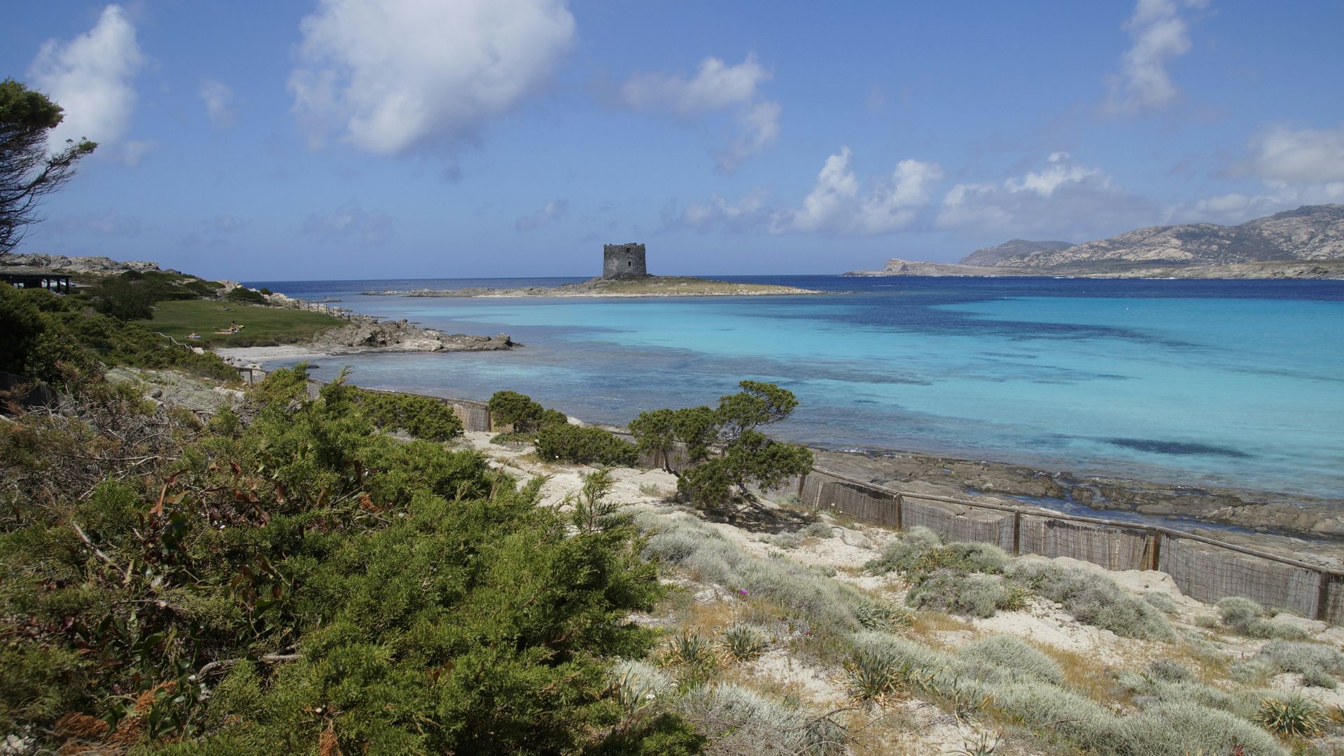 Scenic view of La Pelosa, Sardinia, Italy.