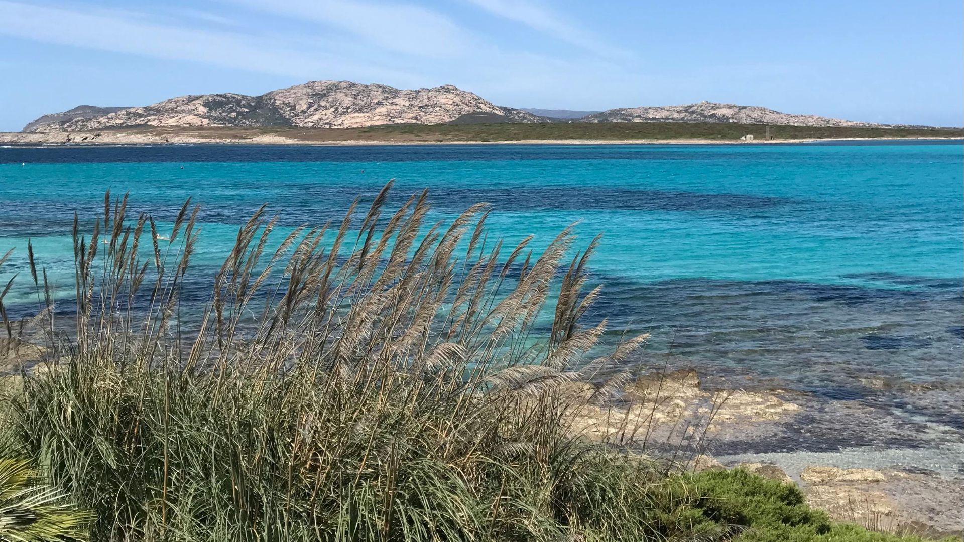 Scenic view of La Pelosa, Sardinia, Italy