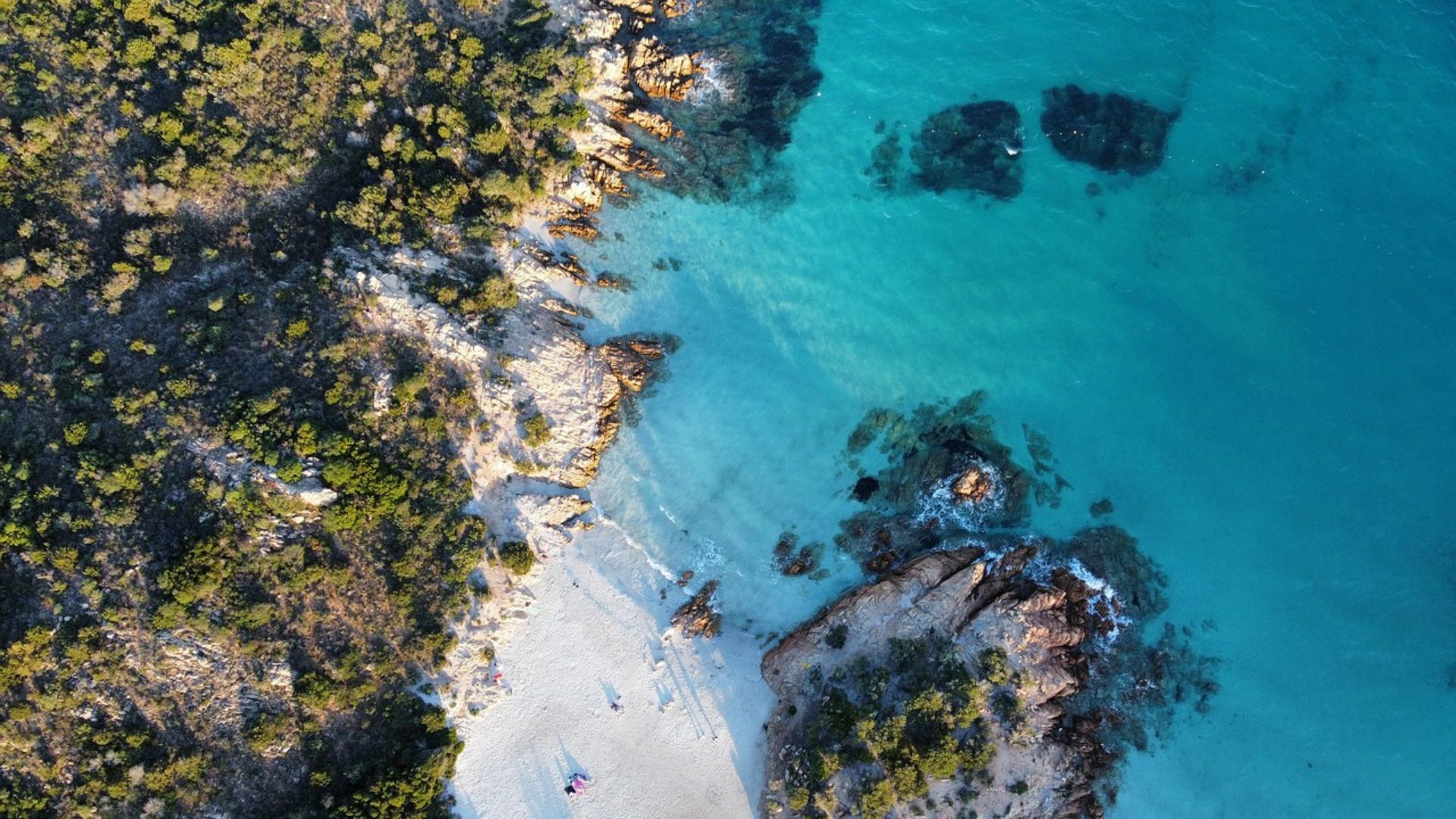 Aerial view of La Pelosa, Sardinia, Italy