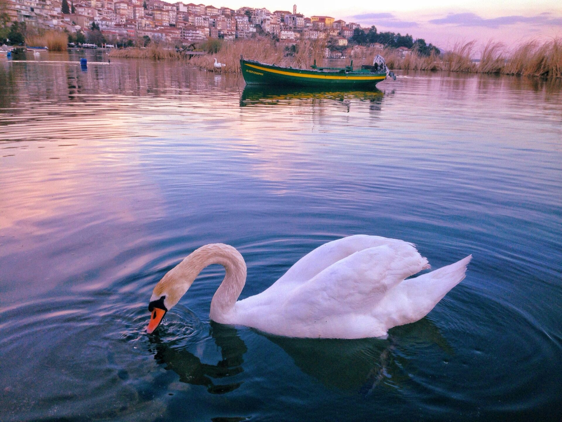 Golden hour at Lake Orestiada