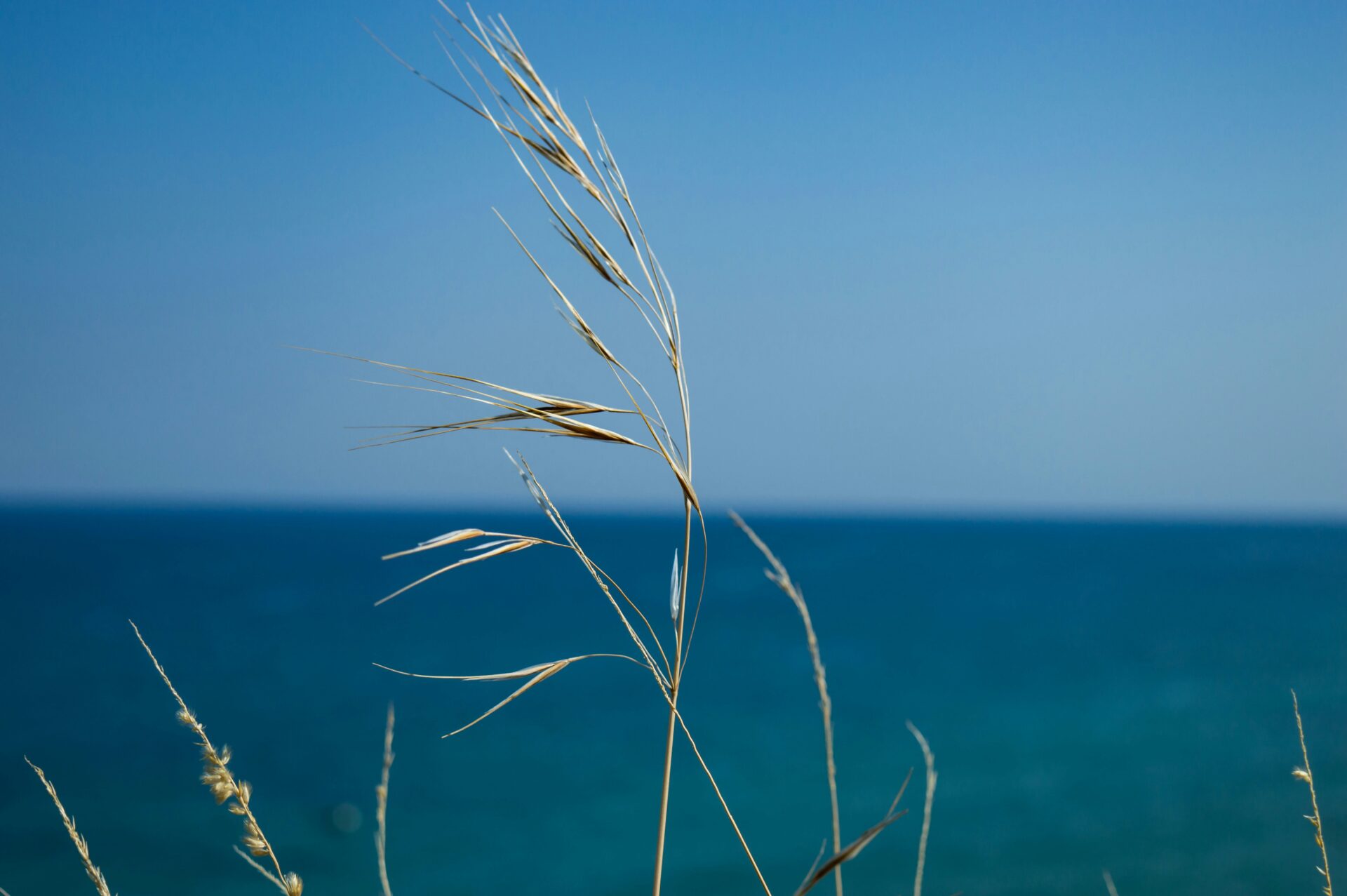 A tranquil view of Litochoro Beach