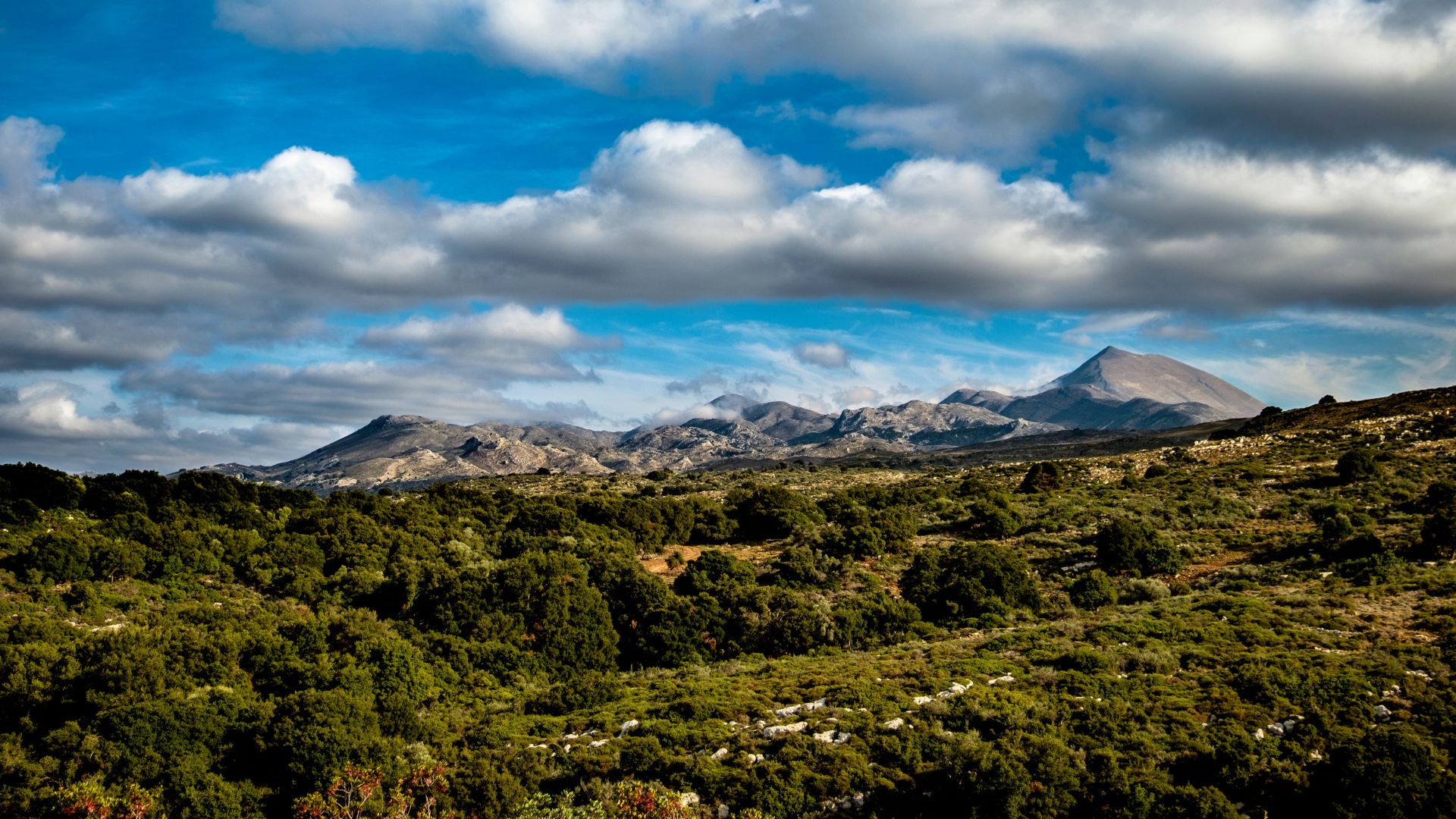 A landscape view of Mount Ida in Crete, Greece, featuring a rugged mountain range under a partly cloudy sky, with lush green vegetation in the foreground.