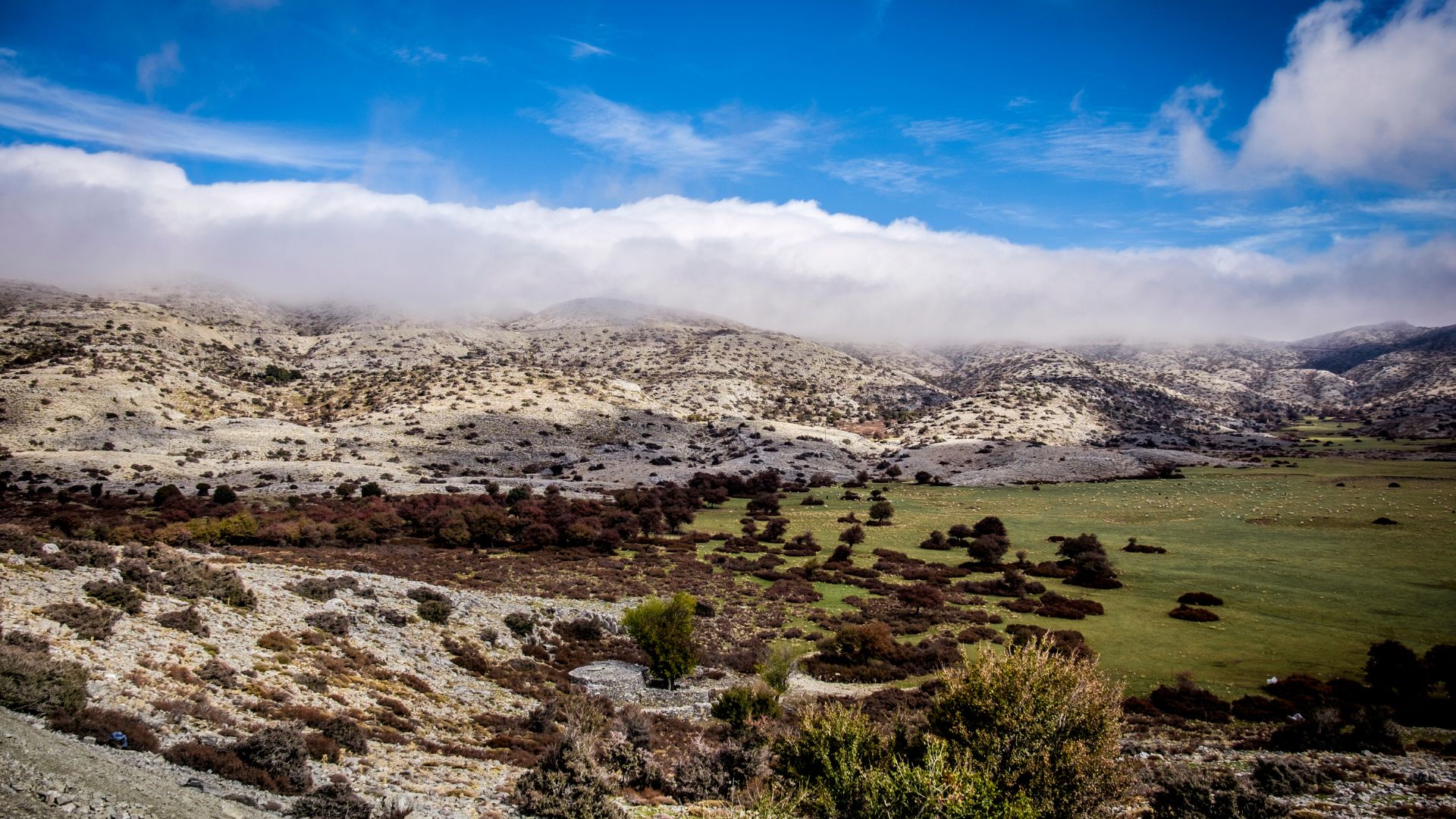A landscape view of Mount Ida (Psiloritis) in Crete, featuring its rocky terrain, sparse vegetation, and cloud-covered peaks.
