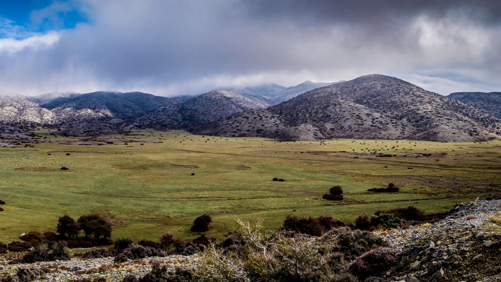 A scenic view of Mount Ida in Crete, featuring green fields and rocky slopes under a cloudy sky.