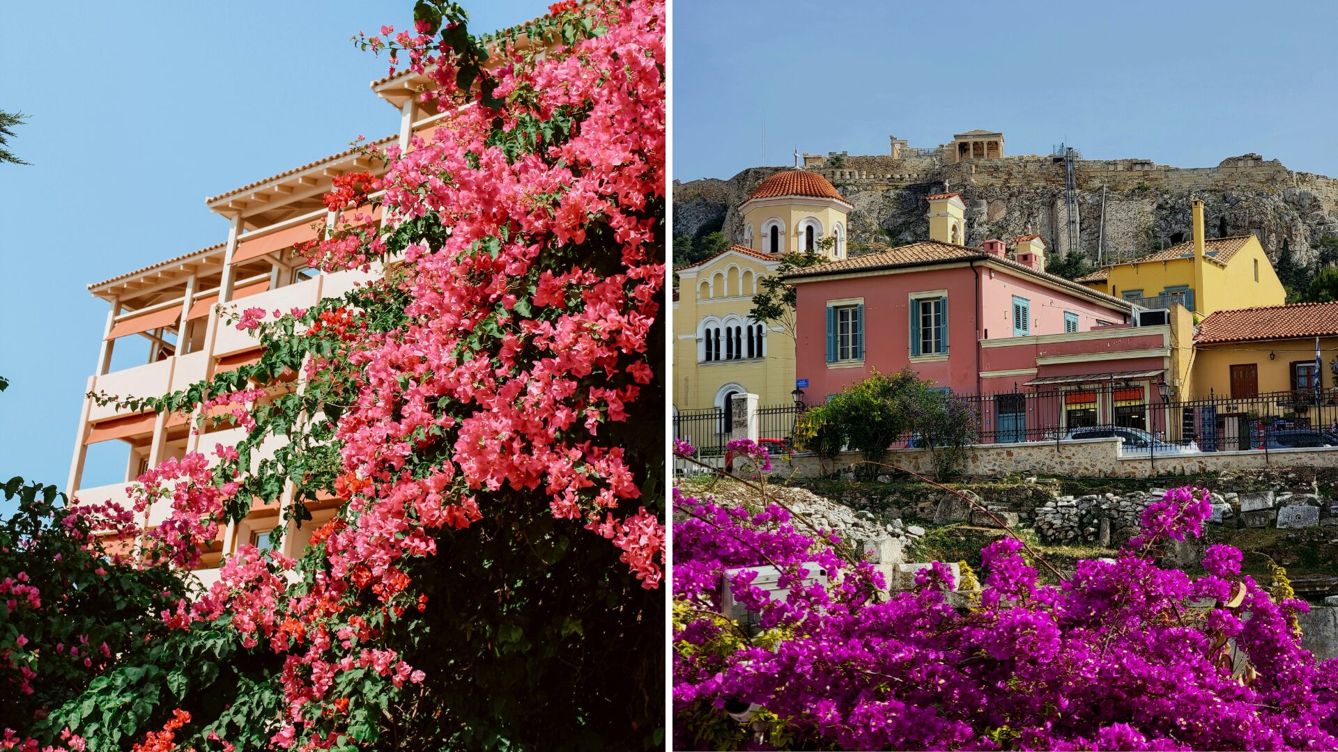 Neighborhood alley with colorful houses with bougainvillea flowers