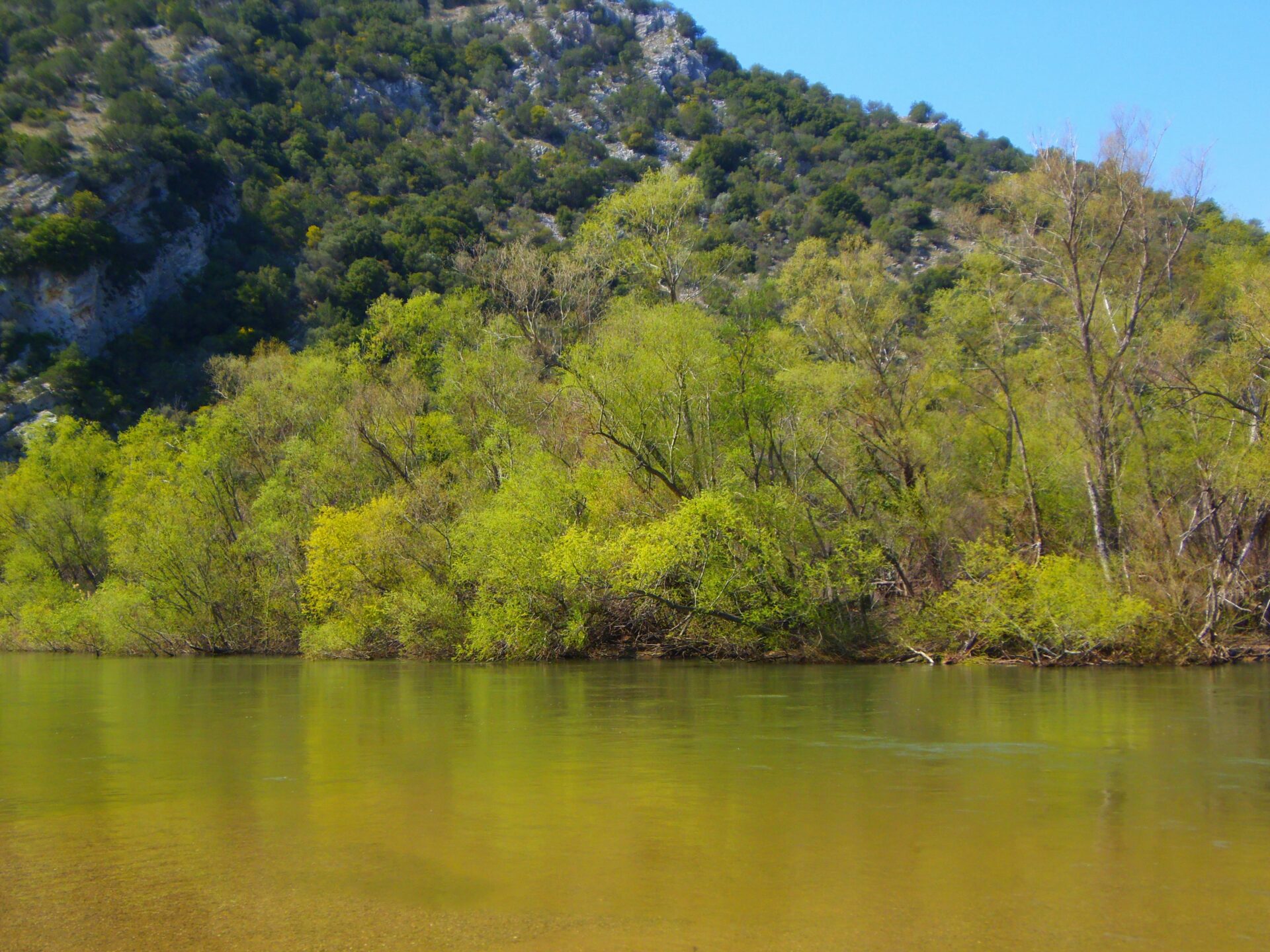 Calm waters of the Nestos River