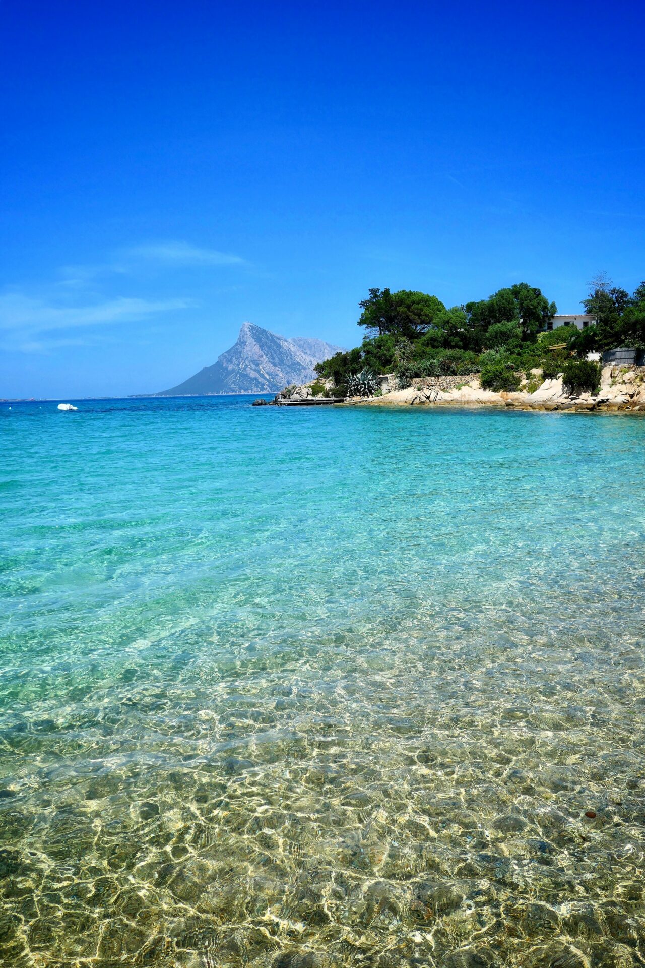 A tranquil beach in Olbia, featuring pristine, crystal-clear water