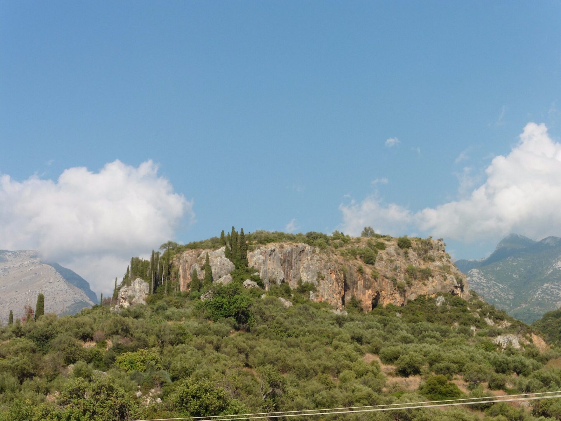 A sprawling olive grove in Kalamata