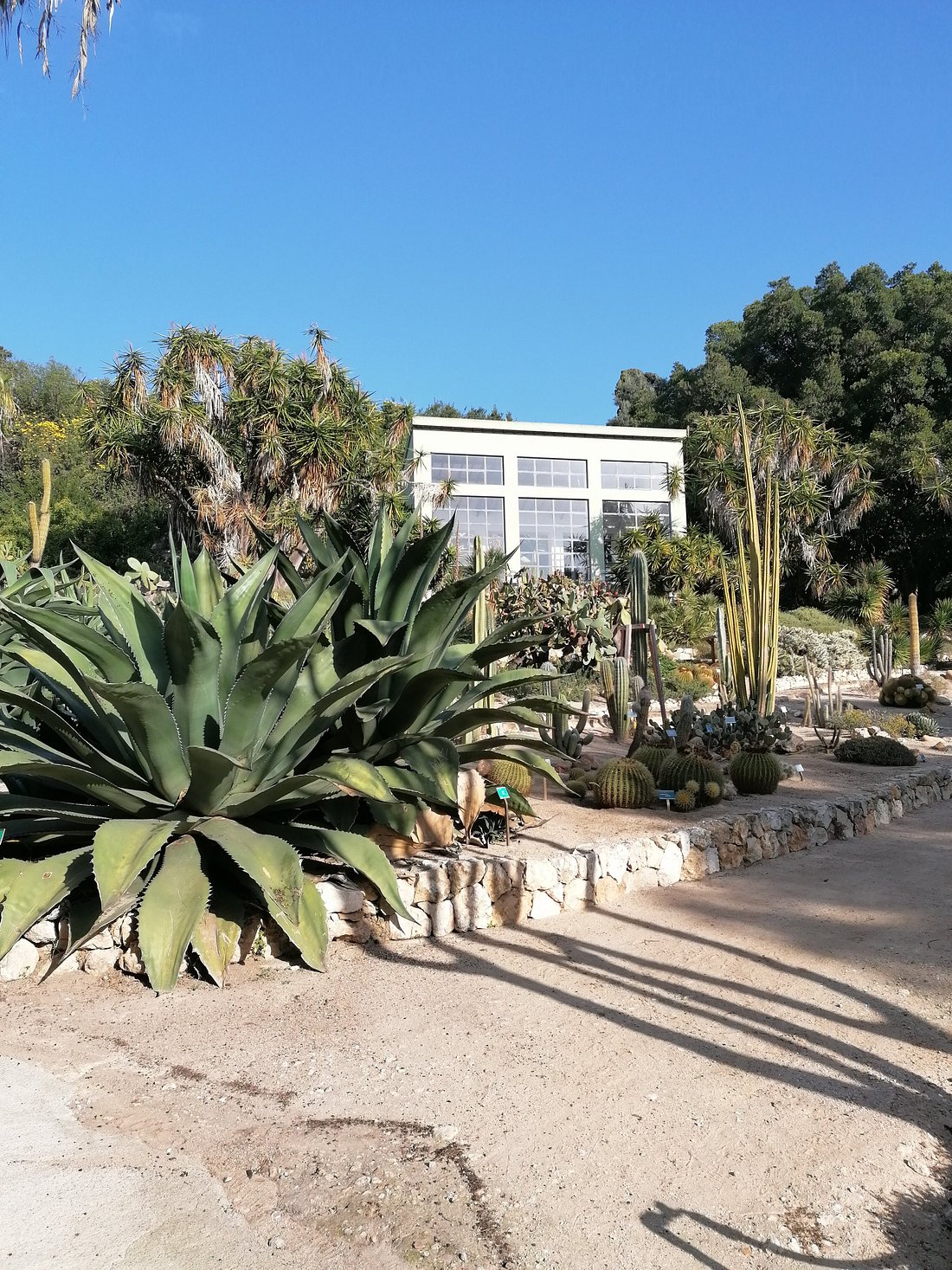 Peaceful scene at Orto Botanico in Cagliari