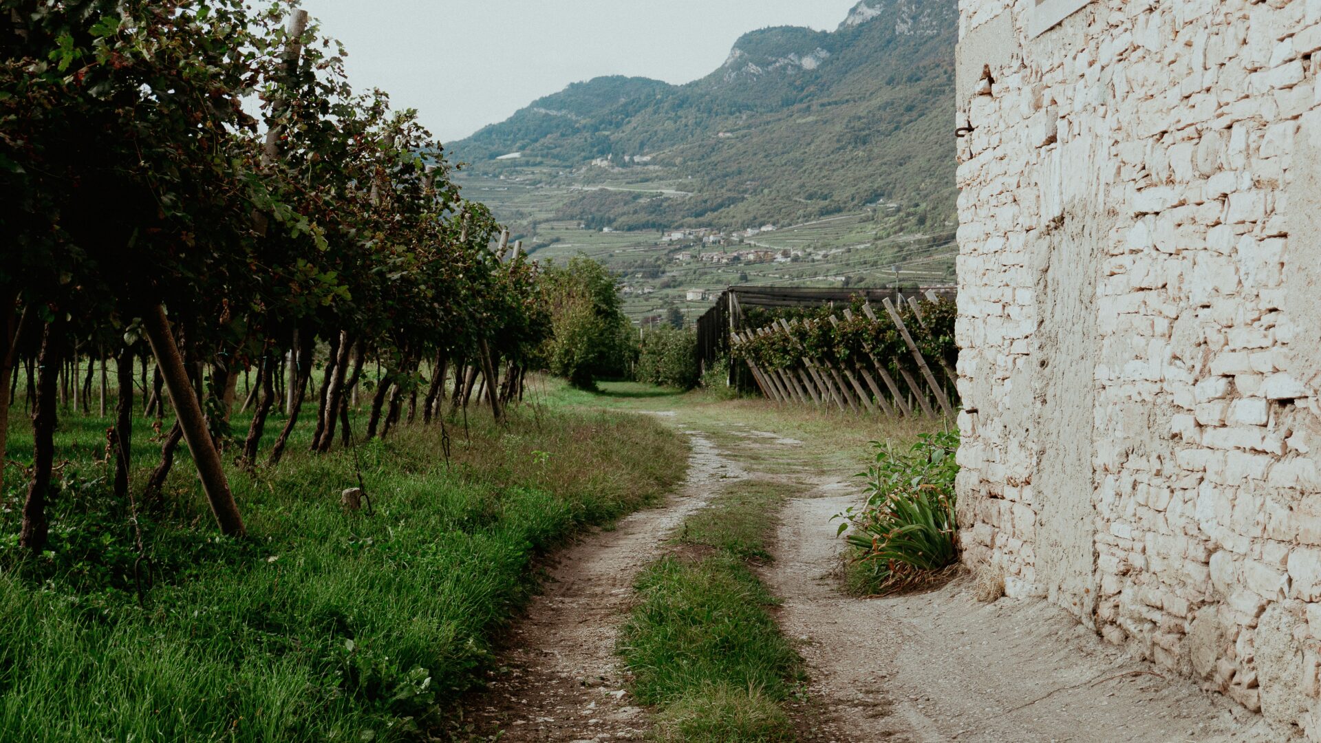 Path in the mountains near the stone house