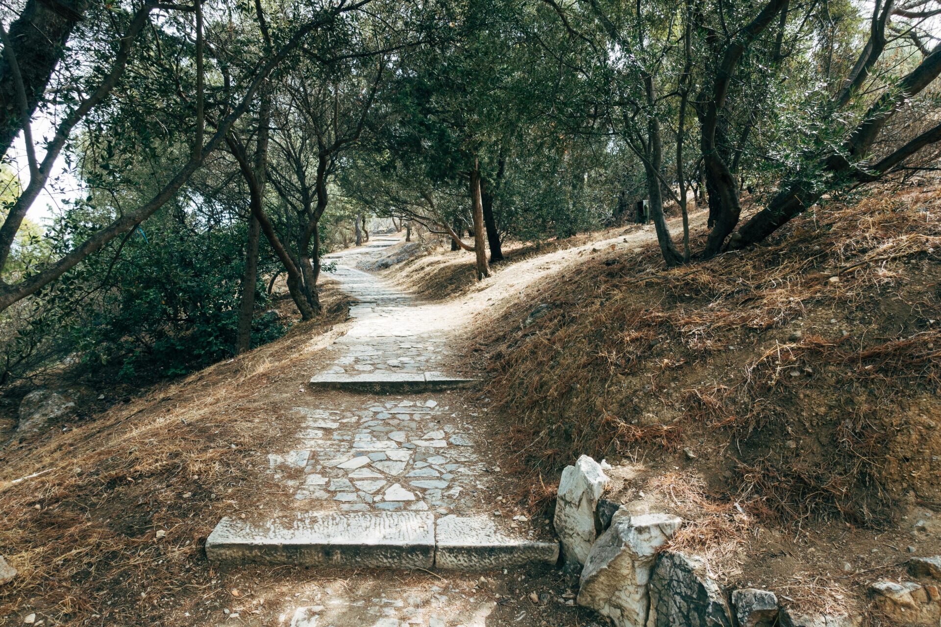 Pathway under Trees - Athens