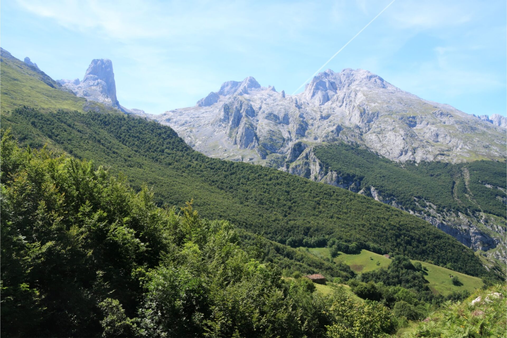 Picos de Europa