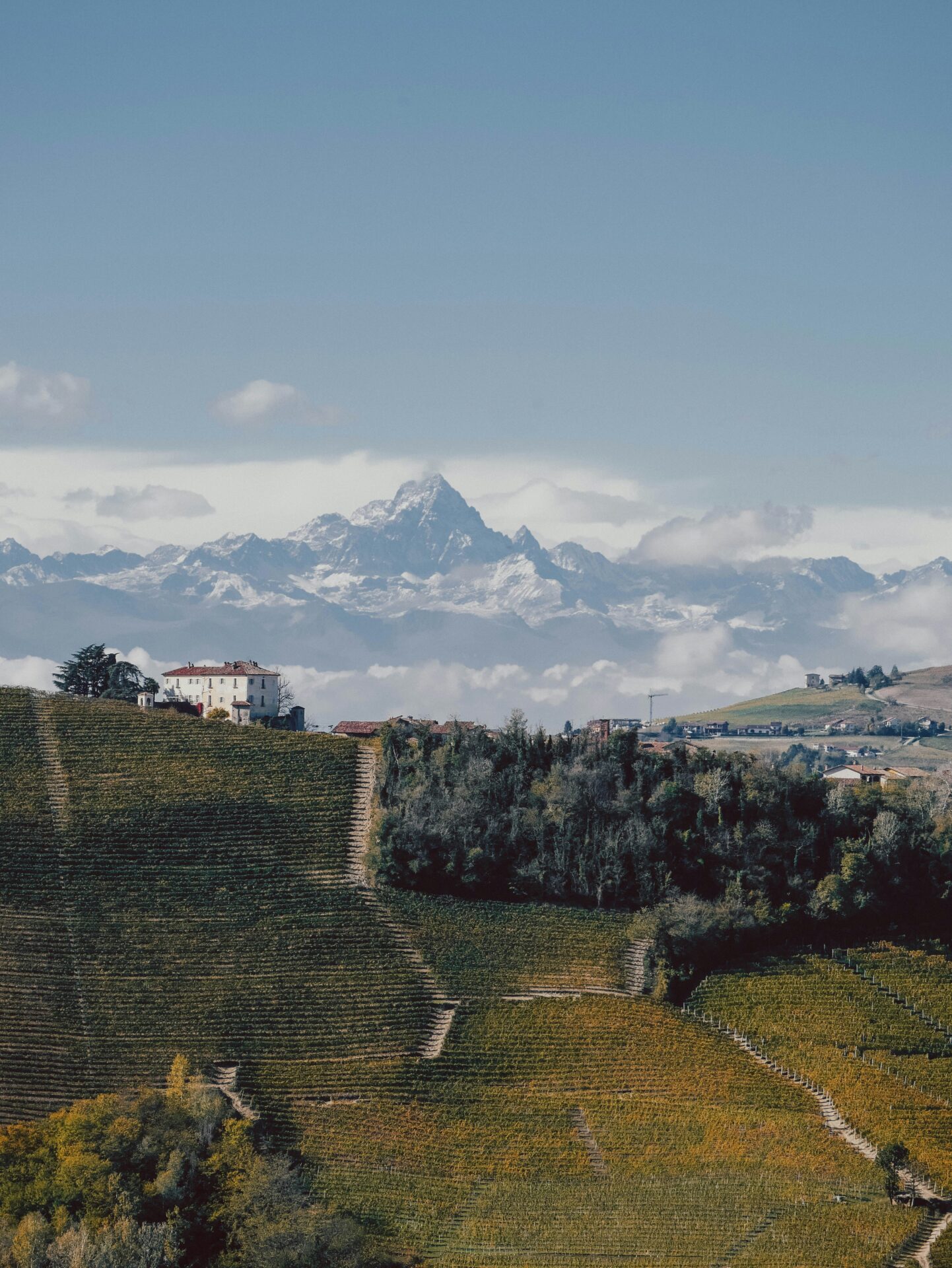 The view of the wine slopes in Piemonte region, with a range of mountains in the back.
