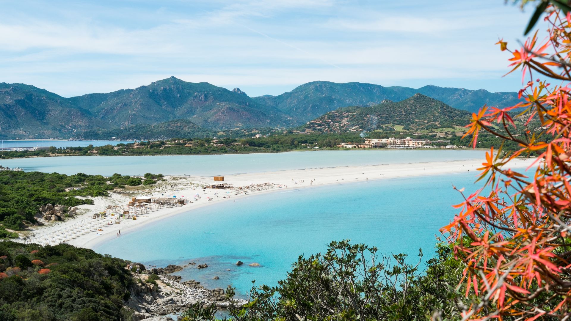 A panoramic view of Porto Giunco beach in Sardinia, featuring a long stretch of white sand dividing the turquoise sea from a shallow lagoon, backed by green hills and mountains under a clear sky, with some vegetation in the foreground.