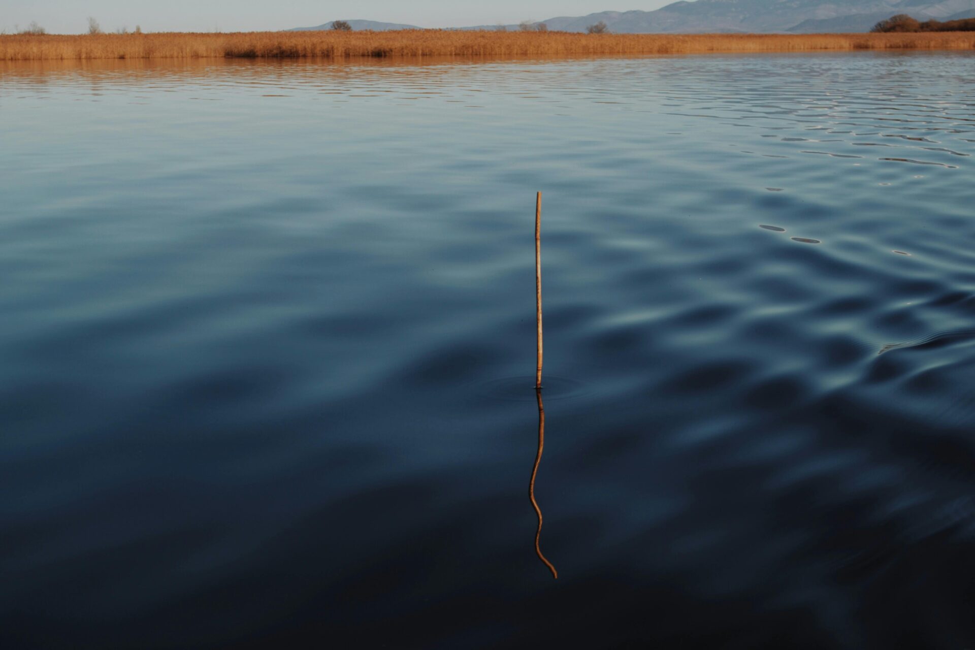 Prespa Lake in Florina is a peaceful, scenic lake surrounded by lush hills and rich wildlife, offering stunning views and tranquility.