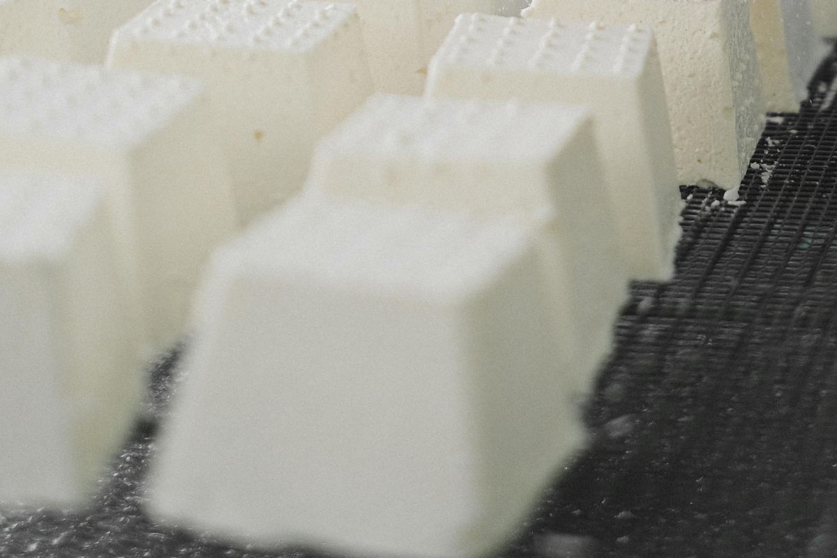 Fresh blocks of Ricotta di Fuscella cheese lined up for processing.