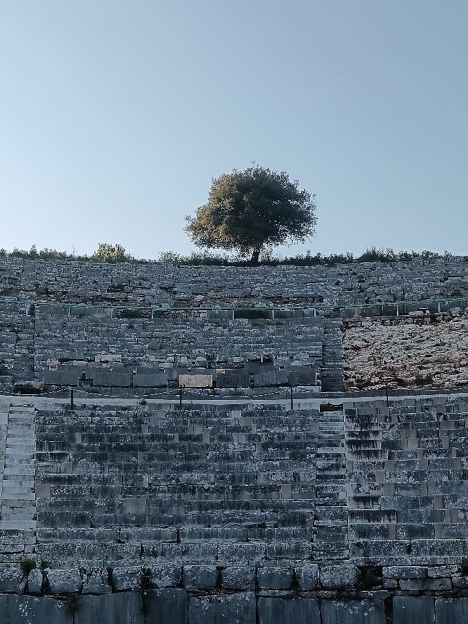 Dodona’s ancient oak tree