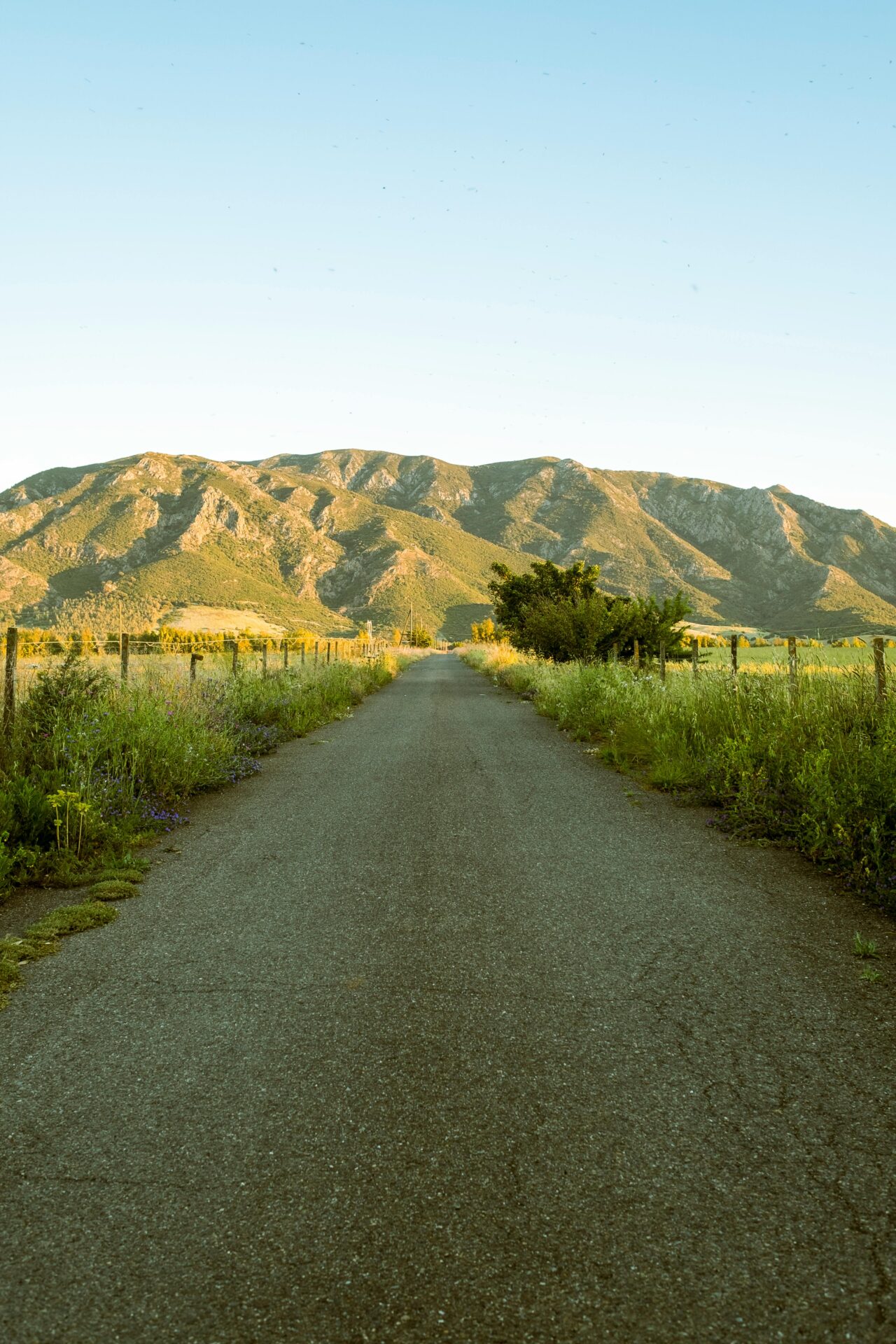 Scenic mountain road in Sardinia