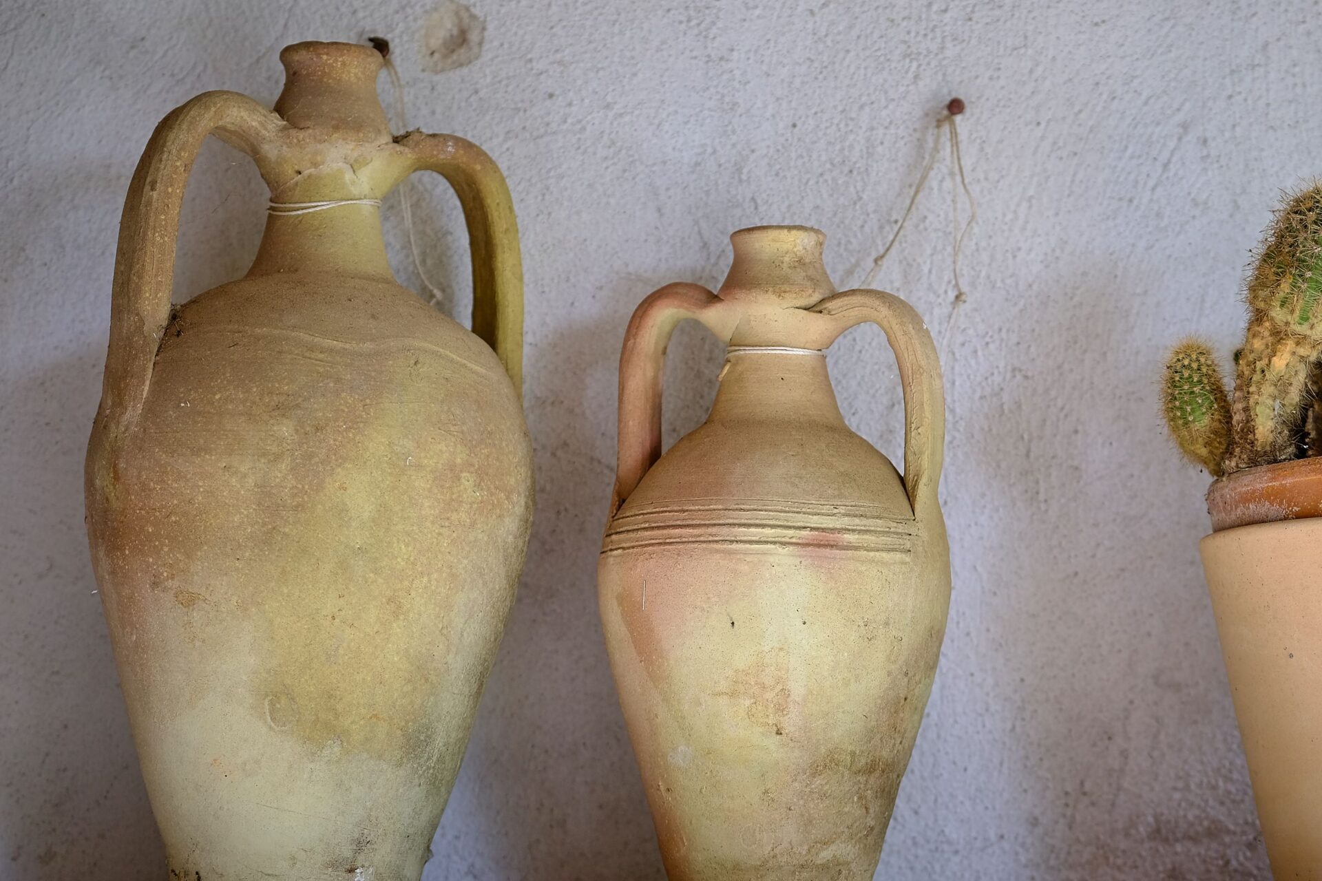 Amphorae