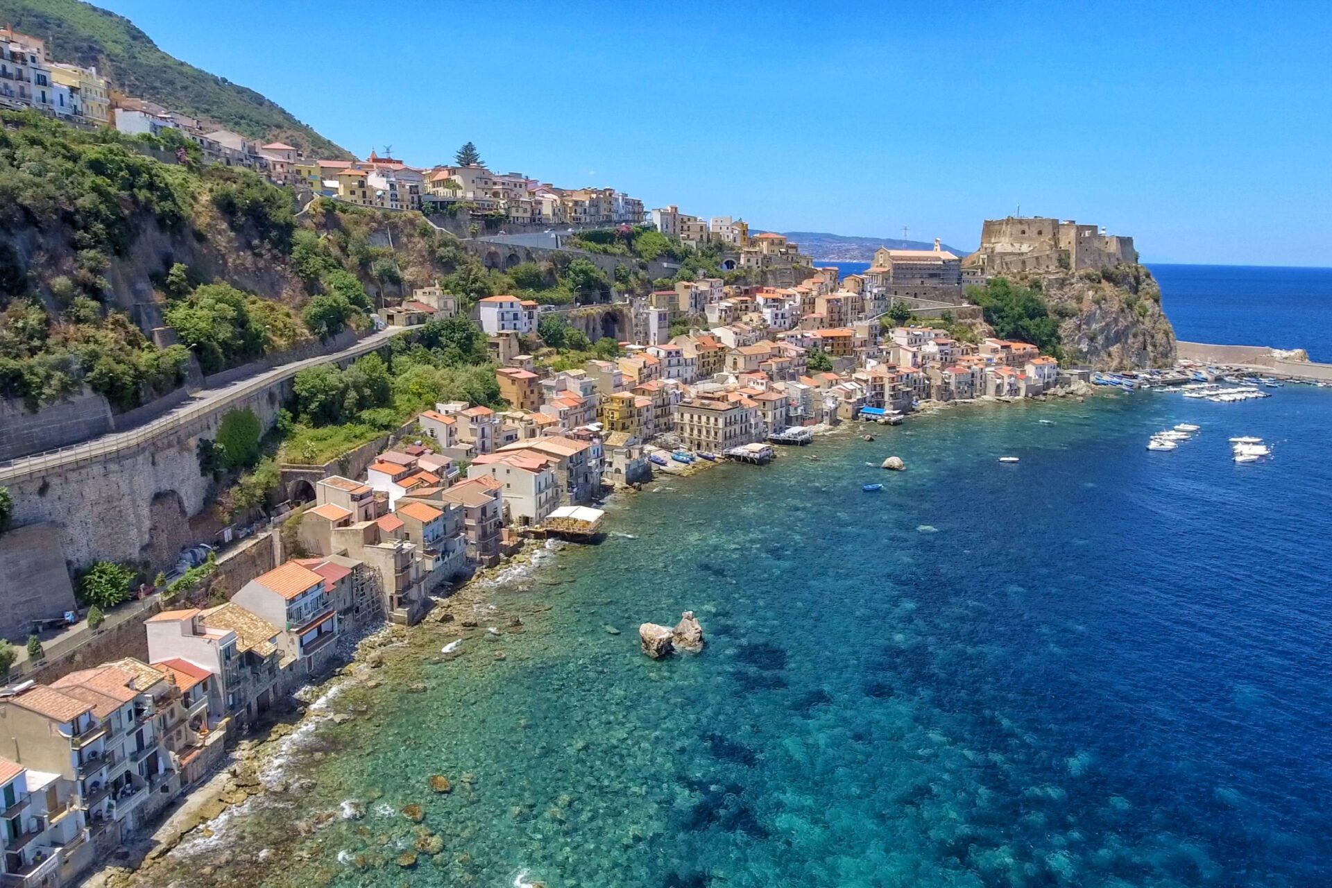 Scilla