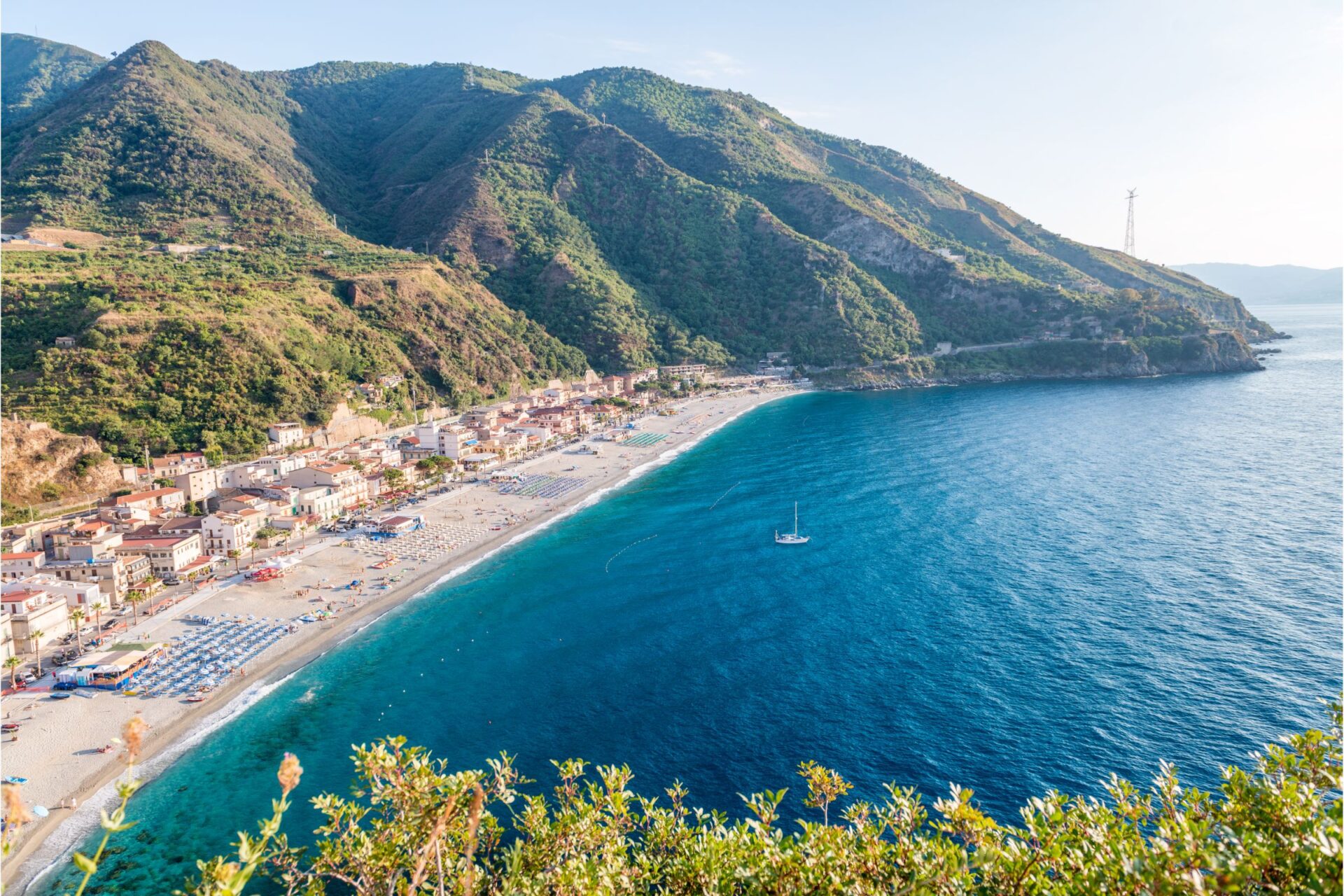 Scilla