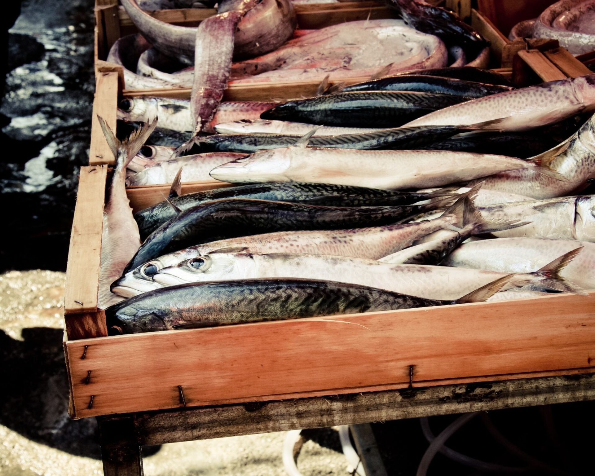 Seafood stall in Palermo market