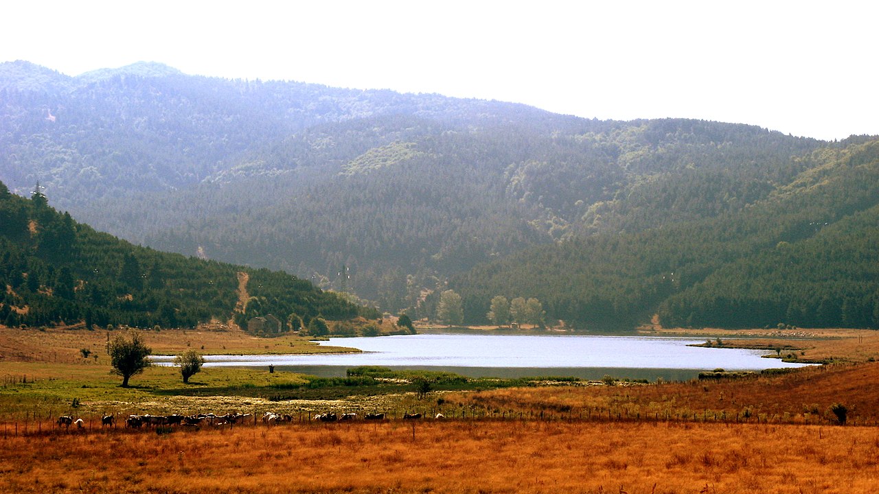 Sila National Park