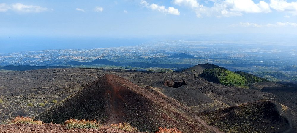 Silvestri craters