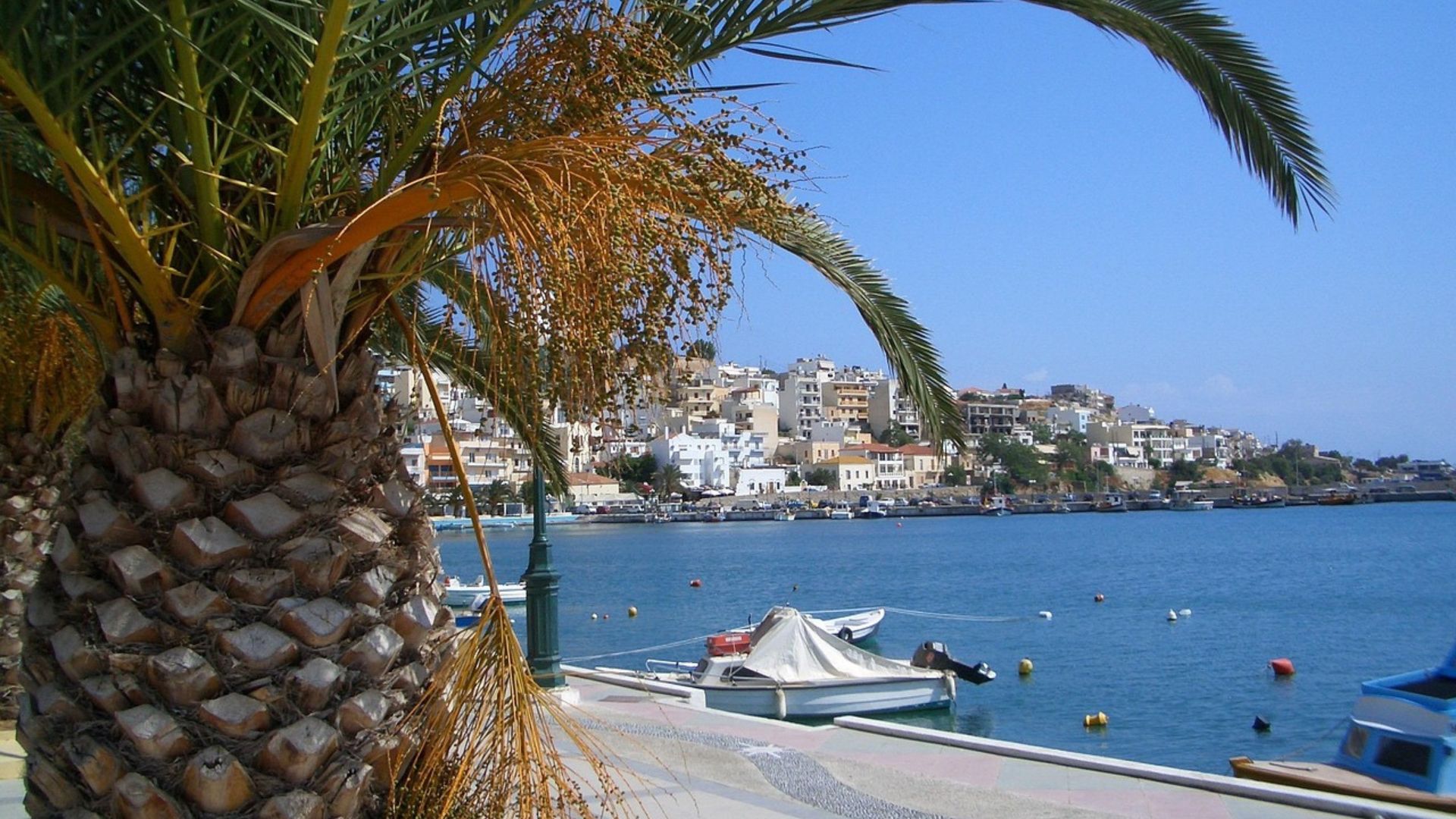 A scenic view of Sitia harbor with palm trees, boats, and buildings.