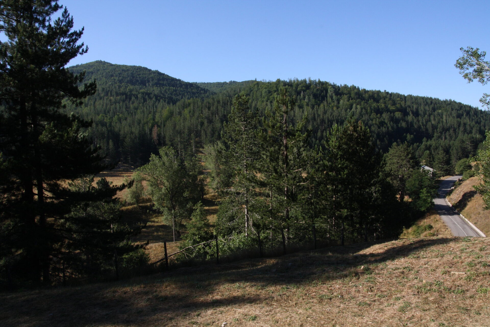 Spezzano della Sila