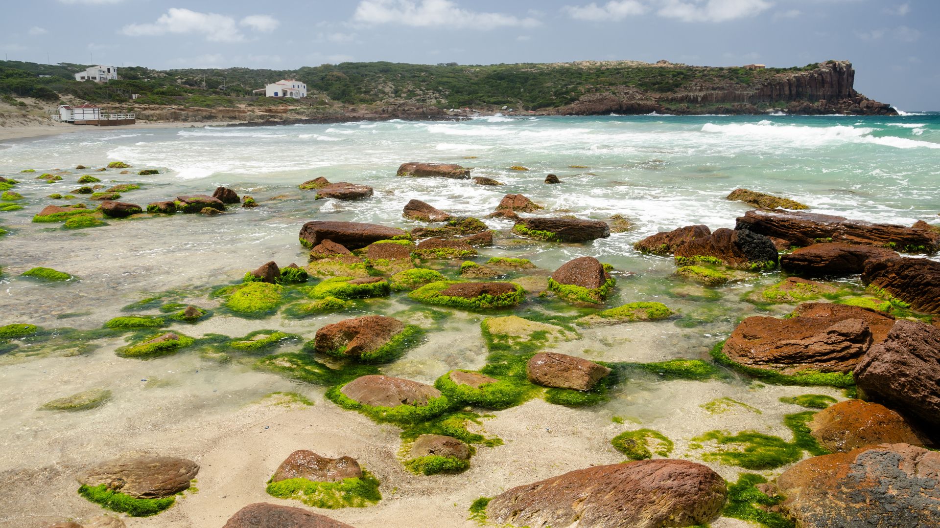 Spiaggia La Caletta beach in Sardinia with rocks covered in green algae.