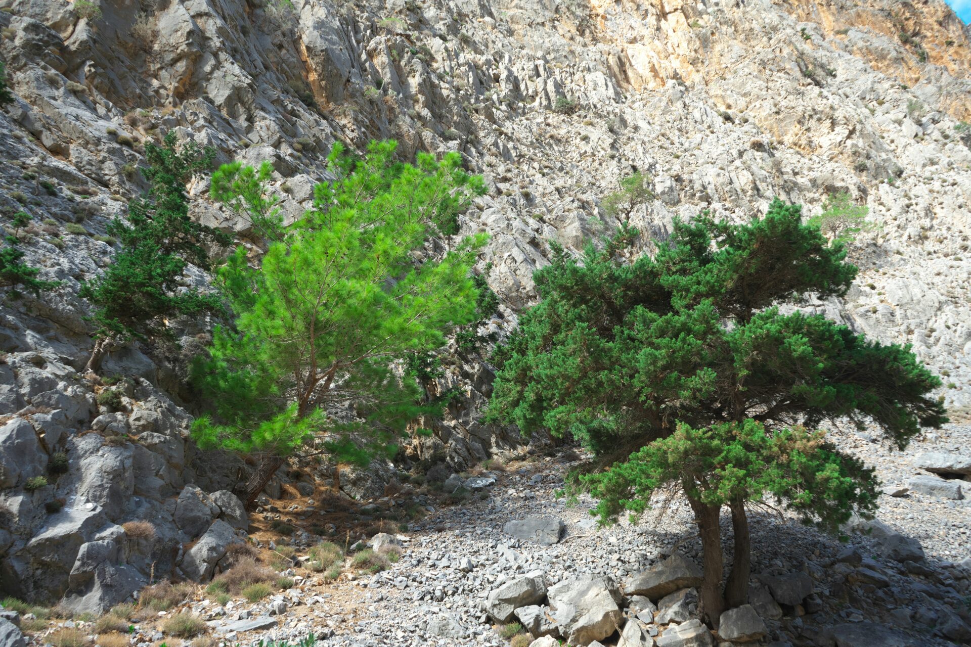 Steep cliffs rising above Agia Roumeli