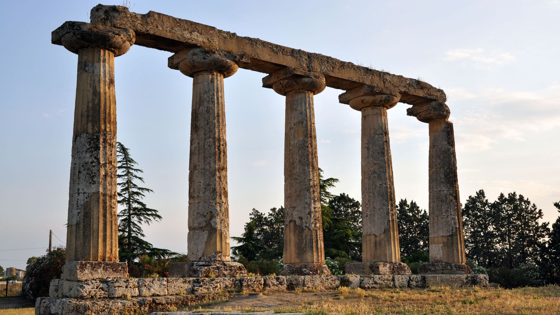 The image shows the Tavole Palatine, which are the ruins of a Greek temple dedicated to the goddess Hera. They are located in the Metaponto archaeological park, near Bernalda in the region of Basilicata, Southern Italy.
