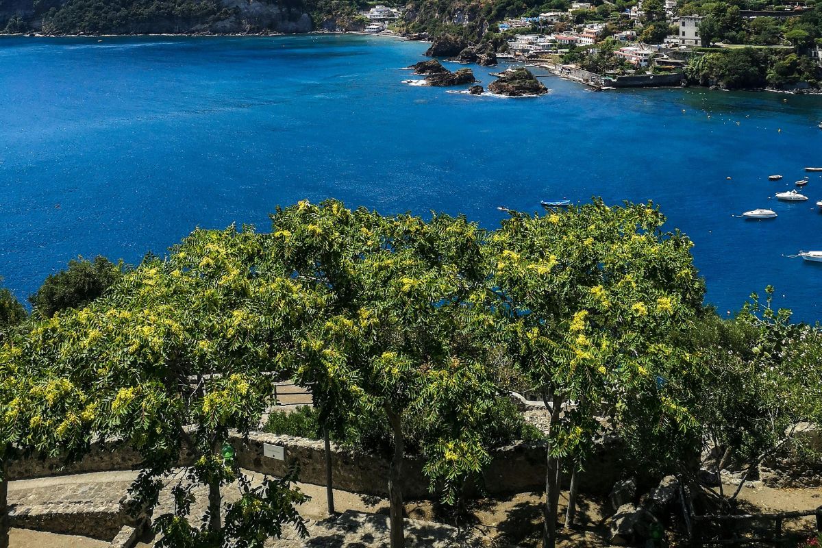 Scenic view of Ischia’s coastline with lush gardens and turquoise thermal waters below.