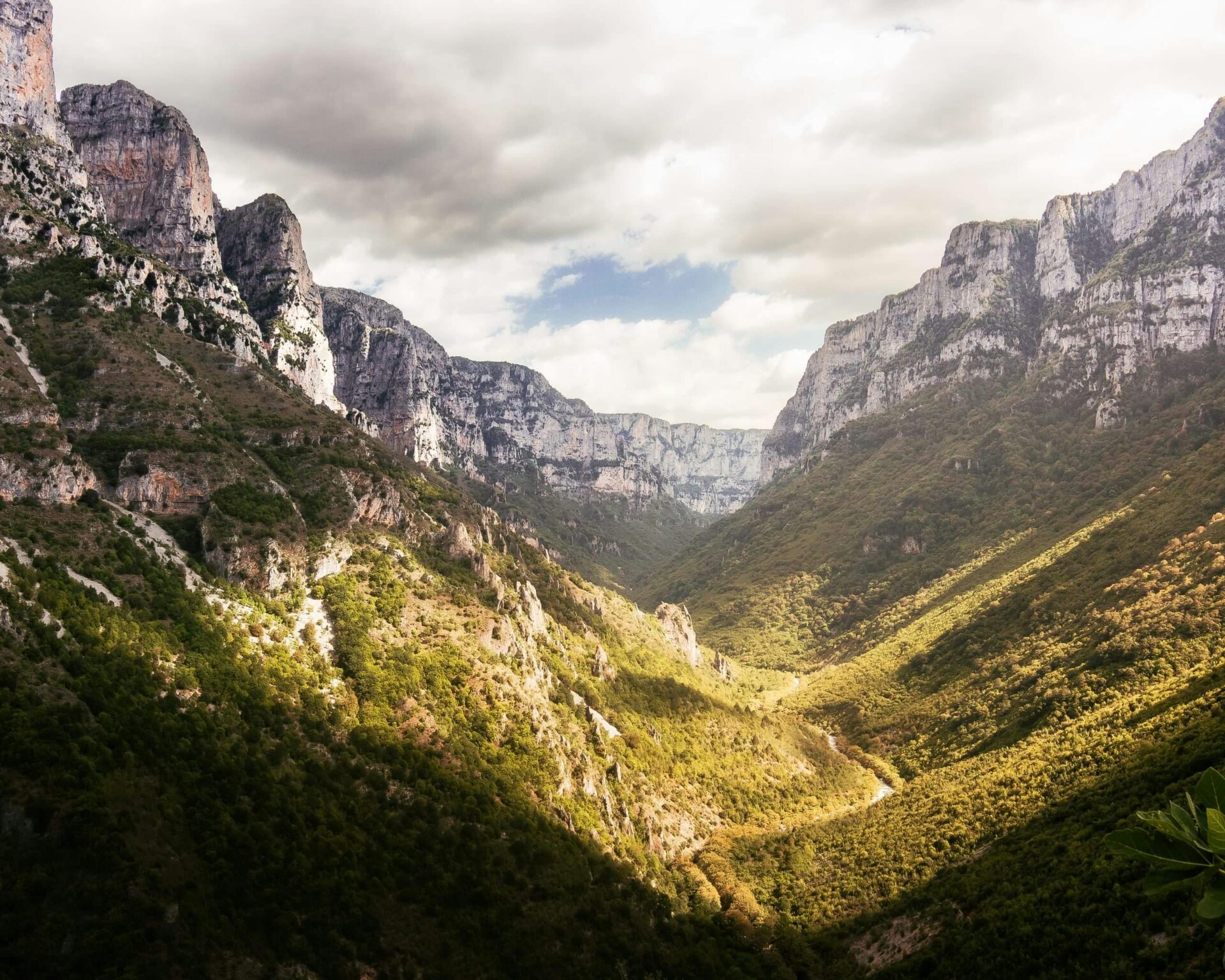 Vikos Gorge with steep cliffs and lush greenery