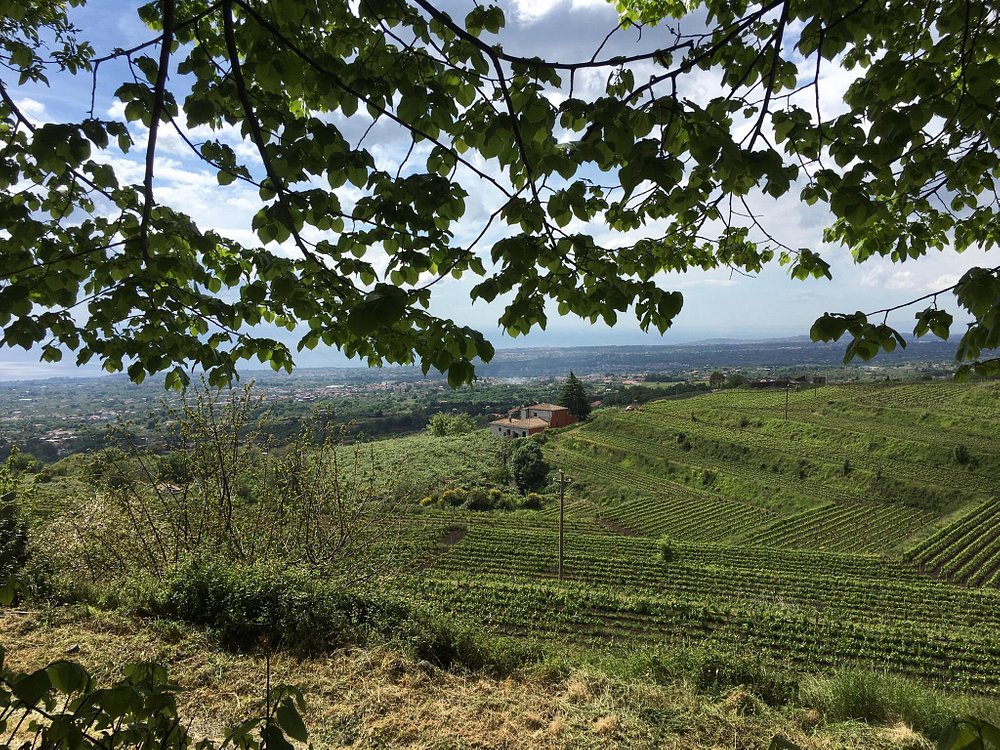 Barone di Villagrande