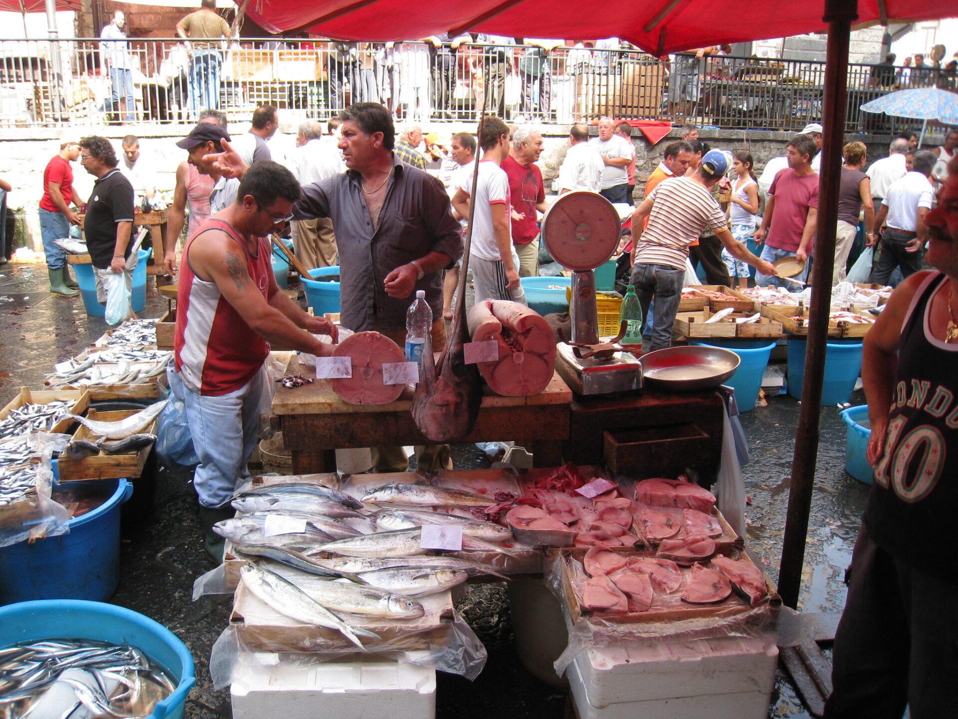fish market catania