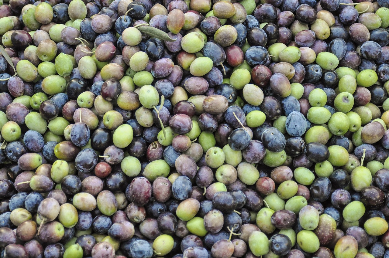 Green olives - purple olives