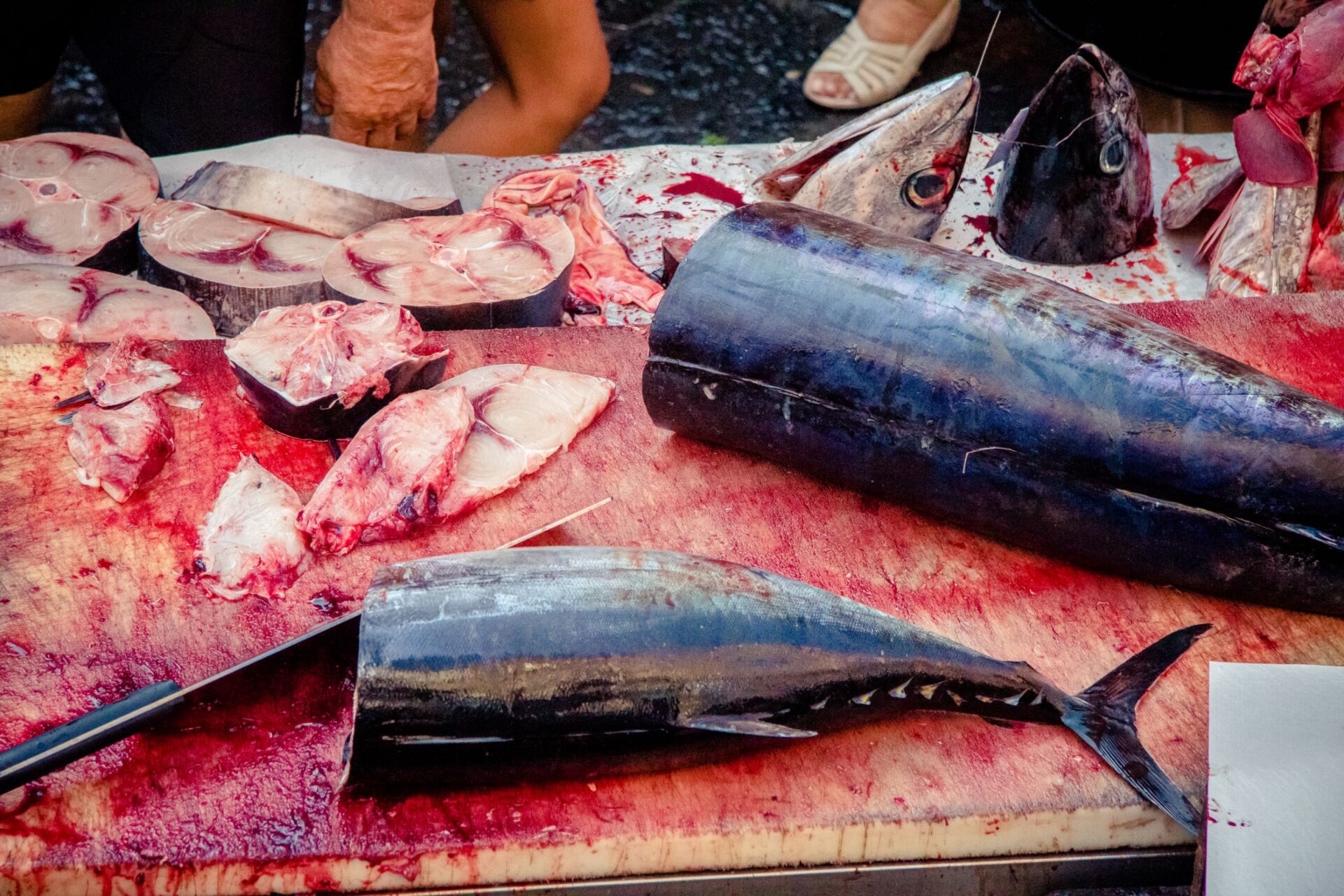 Swordfish