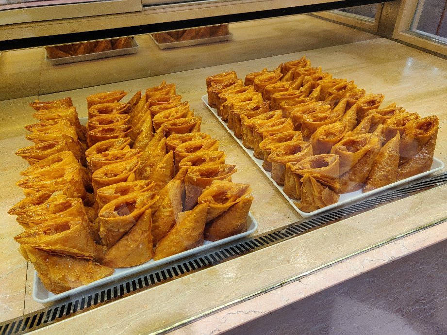 Close-up of golden-brown Trigona Panoramatos