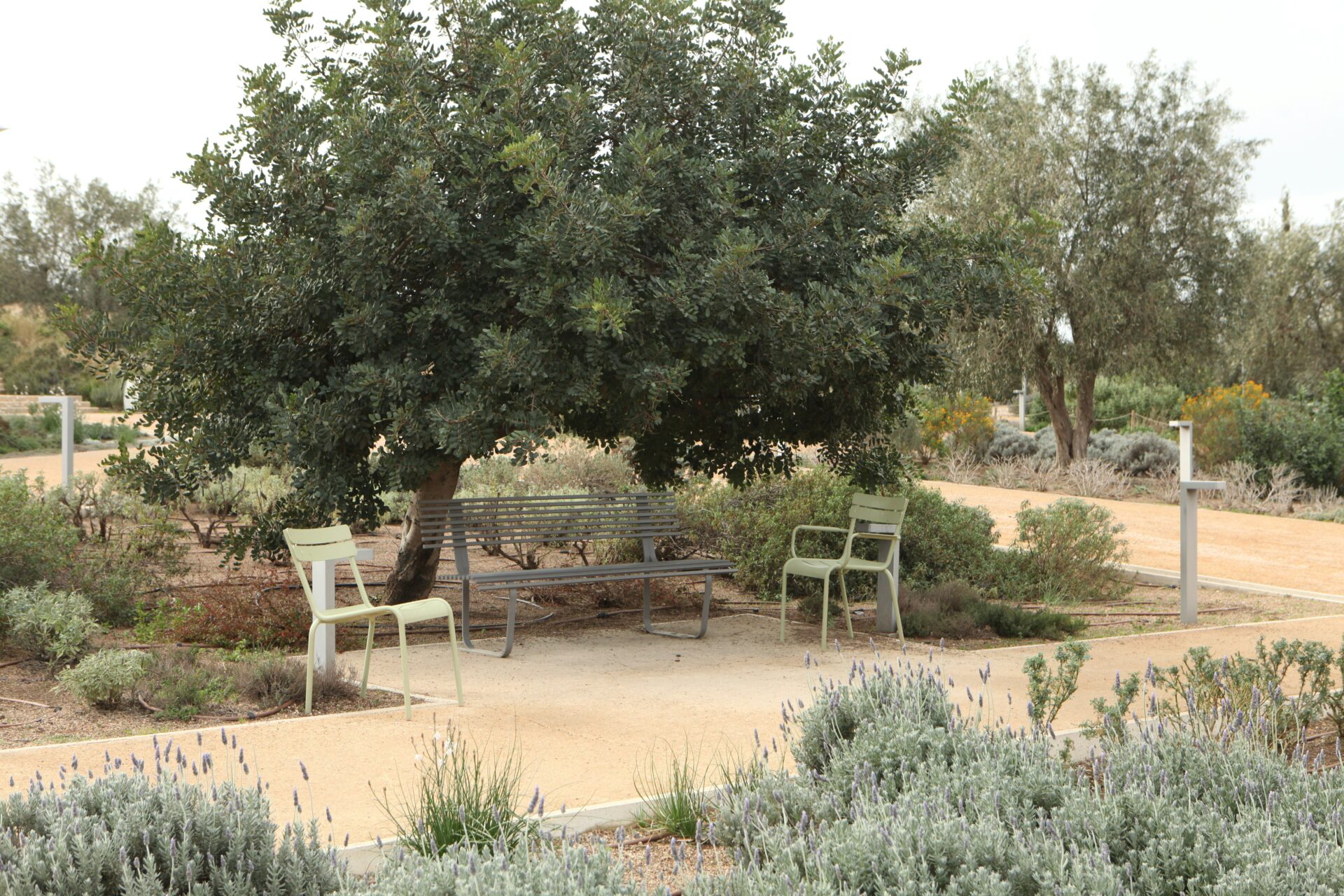 A garden area with trees and benches in Stavros Niarchos - Athens, Greece