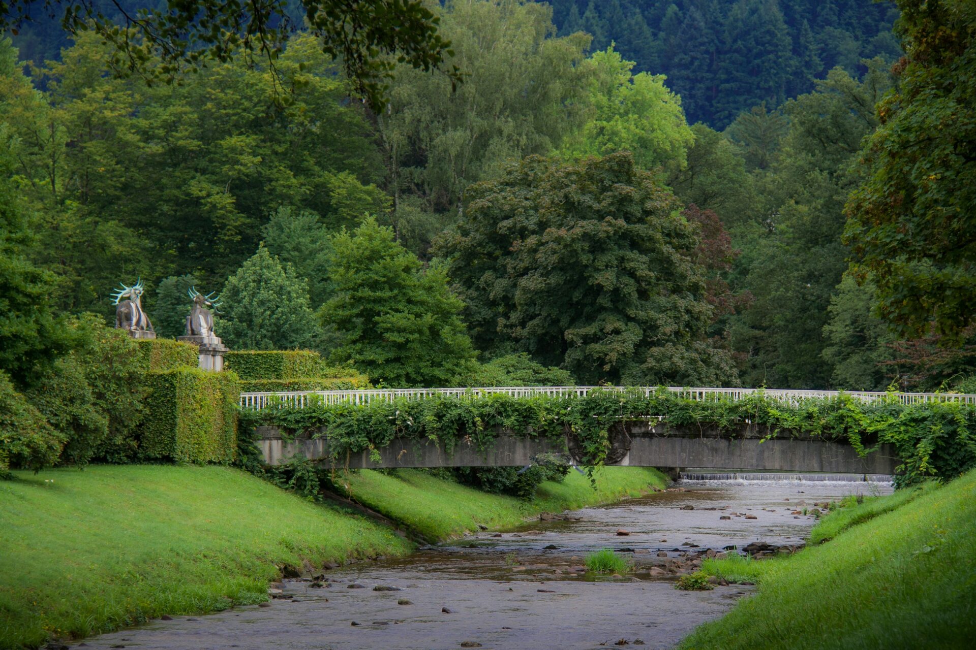 A lush green park in Baden-Baden