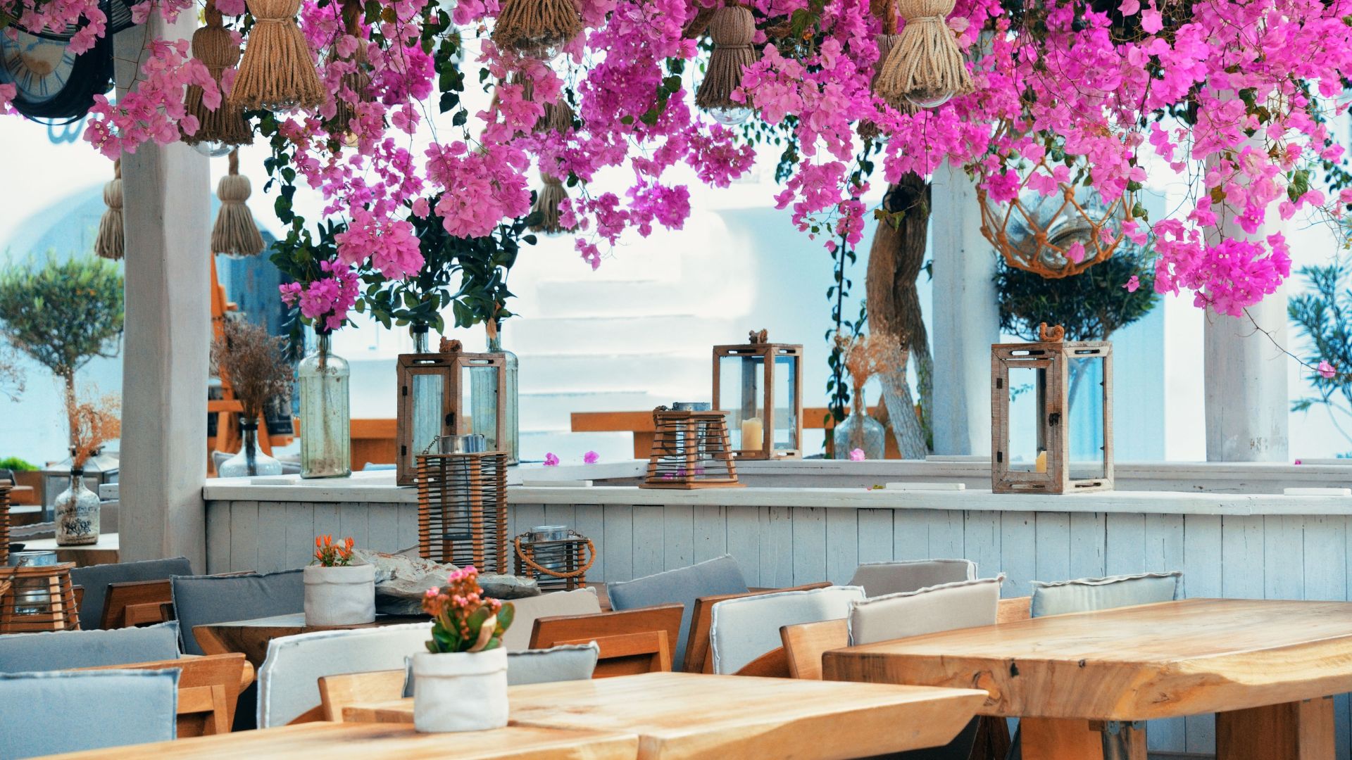 A narrow, white-walled alleyway with pink flowers and a sign in Greek and English.