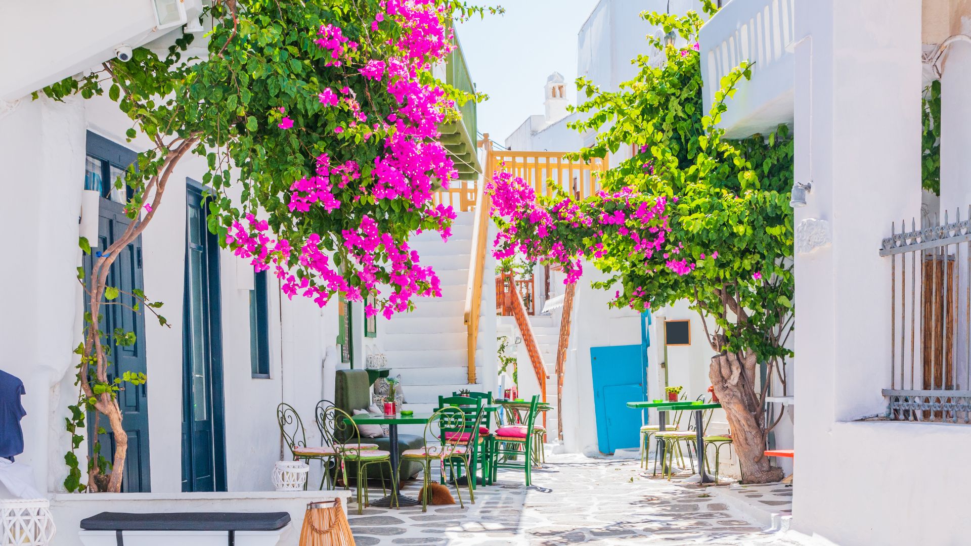 A charming alleyway in Ano Mera, Mykonos, with white buildings, bougainvillea, and outdoor seating.