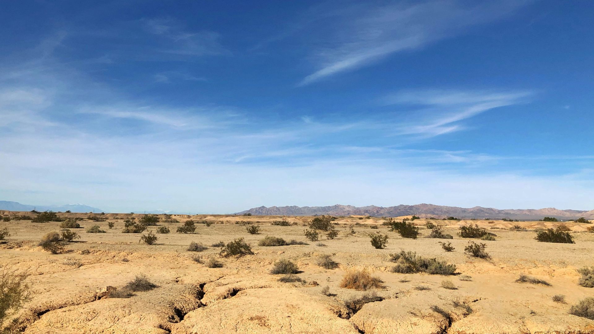 A wide-angle shot of a vast, arid desert landscape under a clear blue sky with wispy white clouds. The foreground features cracked, light-colored earth with scattered low-lying desert shrubs and sparse vegetation. In the distance, a range of mountains with a hazy appearance stretches across the horizon.
