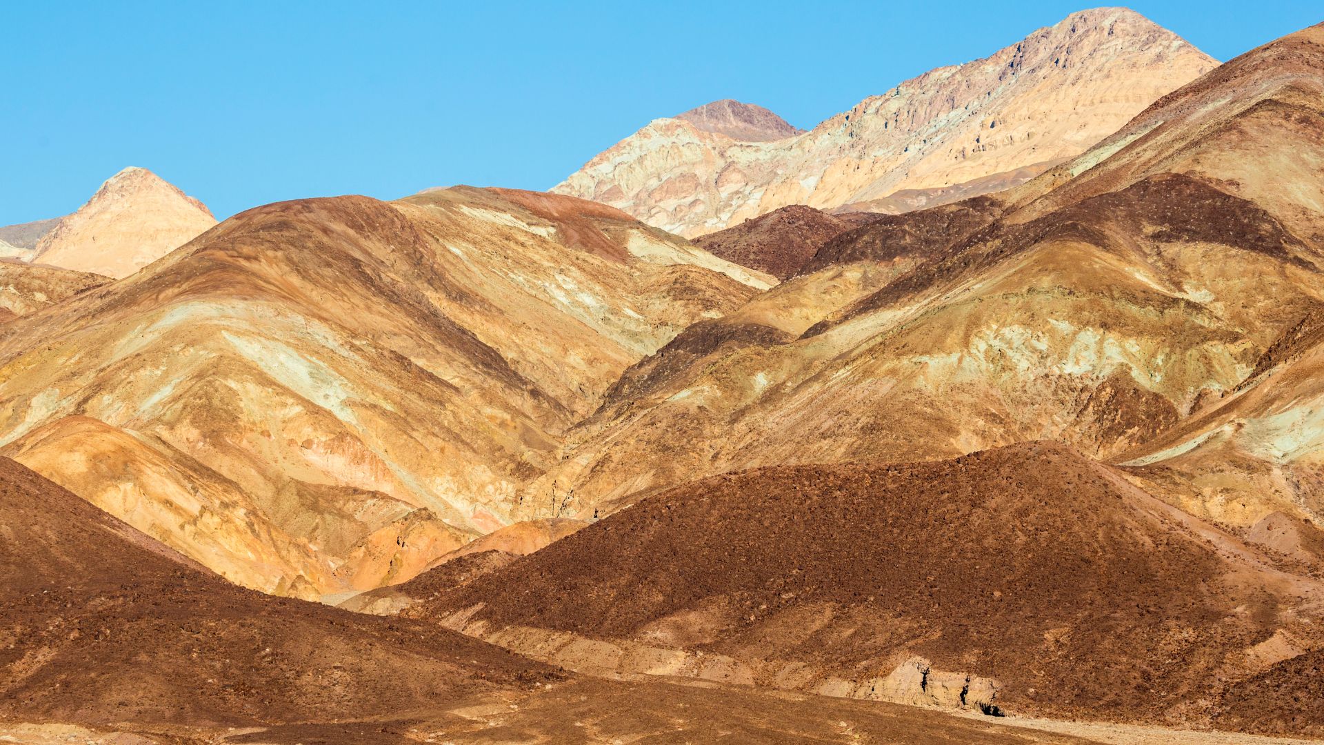 A panoramic view of the colorful, layered hills of Artists Palette in Death Valley National Park under a clear blue sky, showcasing shades of brown, gold, and reddish-brown, with distant mountains in the background.