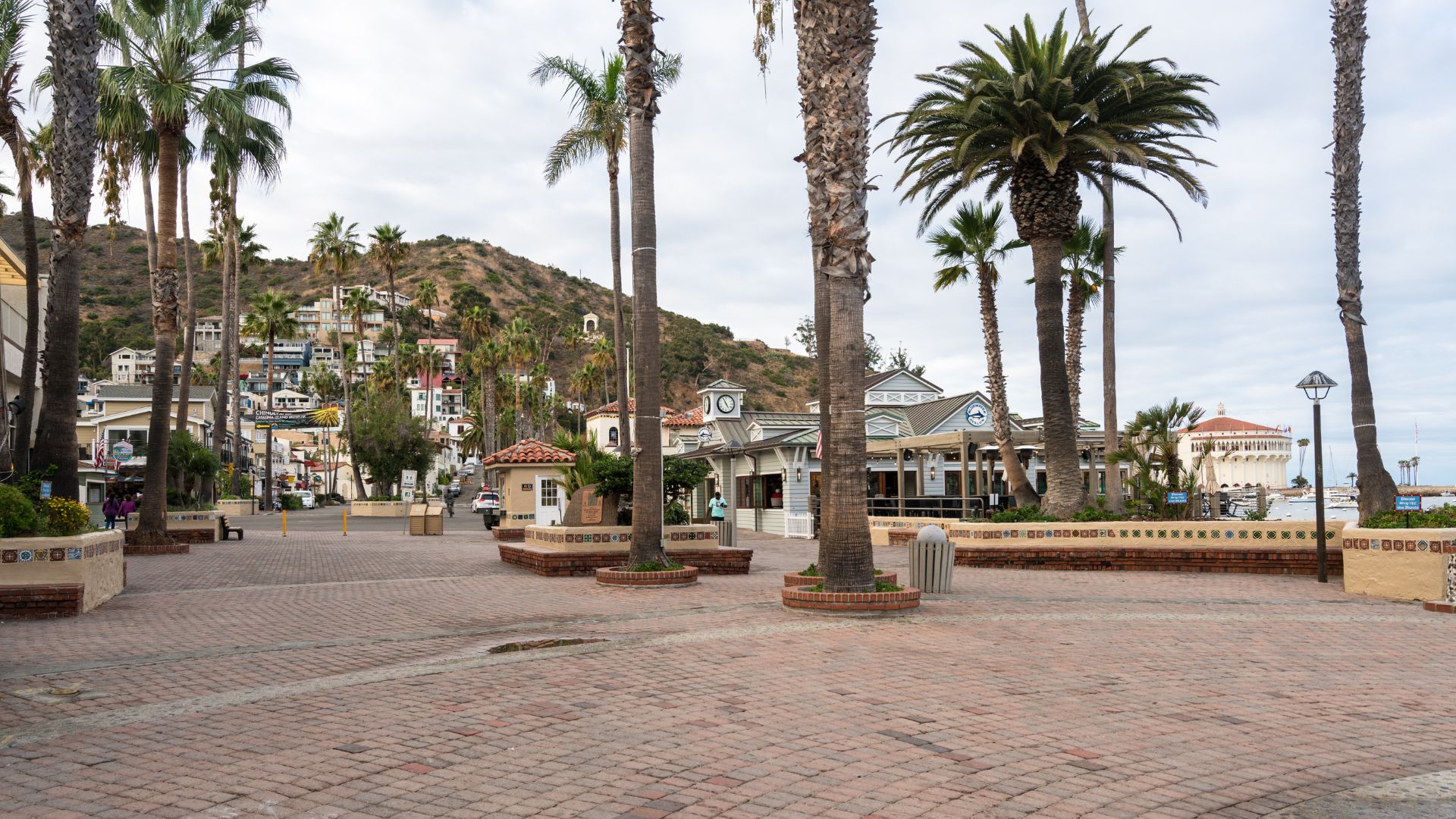 A wide-angle shot of a brick-paved pedestrian area in Avalon, Catalina Island, featuring palm trees, charming seaside buildings, and a hillside covered with houses in the background under a cloudy sky.