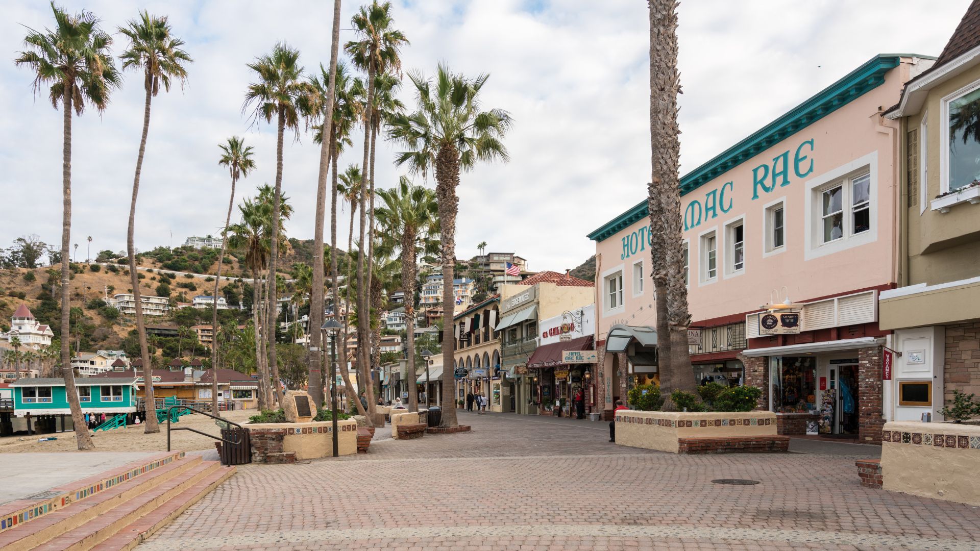 A wide-angle view of a pedestrian street in Avalon, Catalina Island, featuring palm trees lining the left side and colorful buildings, including one labeled "HOT DAC RAC," on the right. Hills with residential buildings are visible in the background under a cloudy sky.