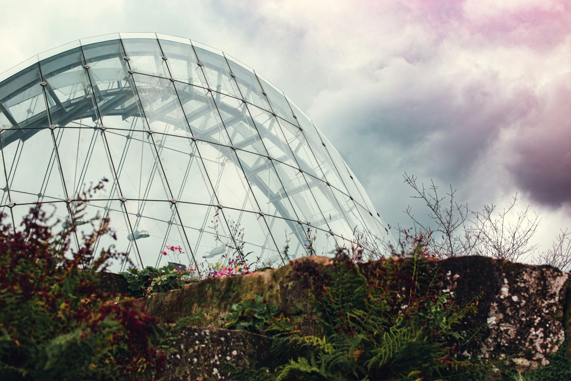 A beautiful view of a garden and the sky outside the Palm House