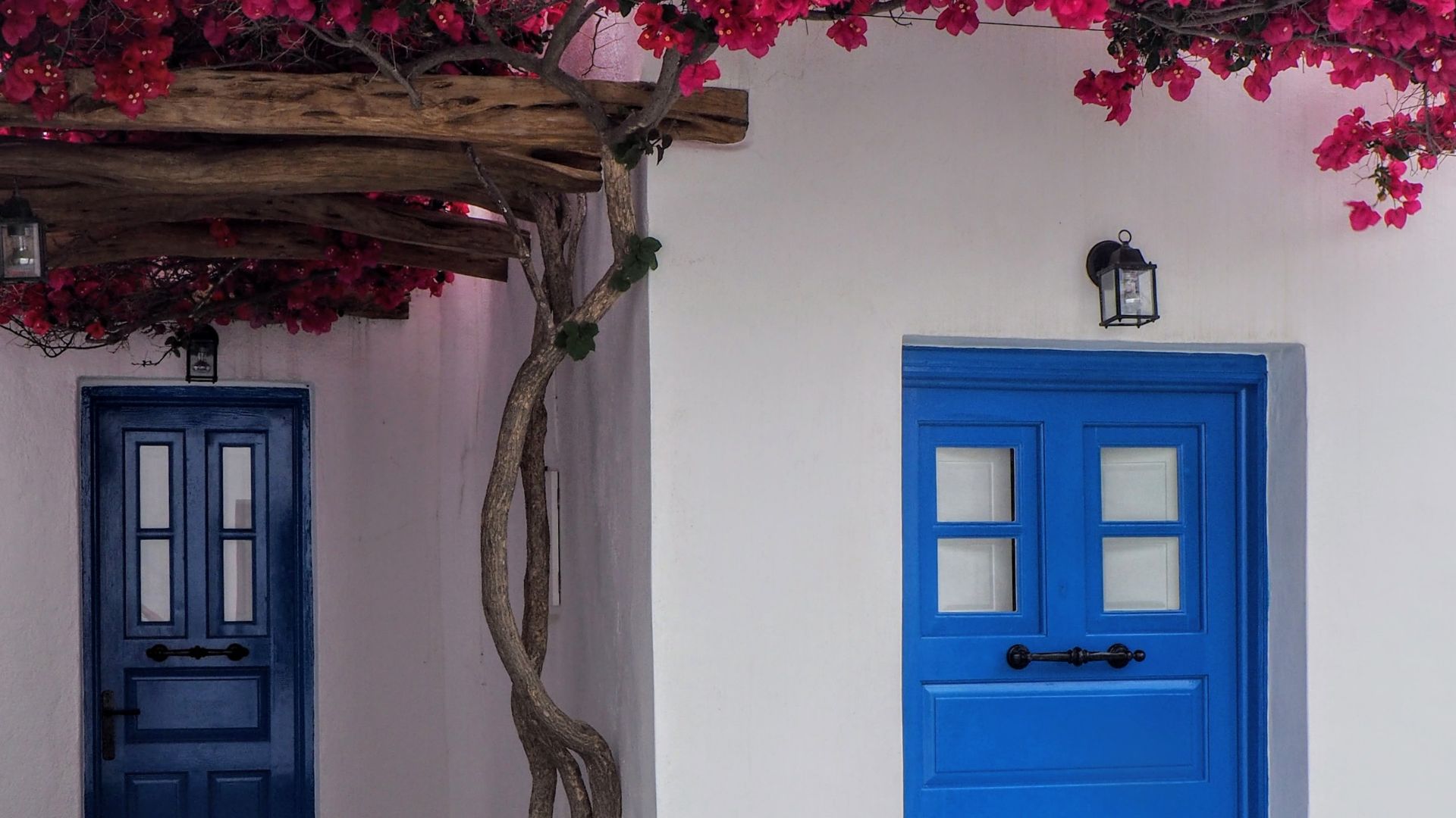 Two blue doors with pink bougainvillea on a white wall in Folegandros, Greece.